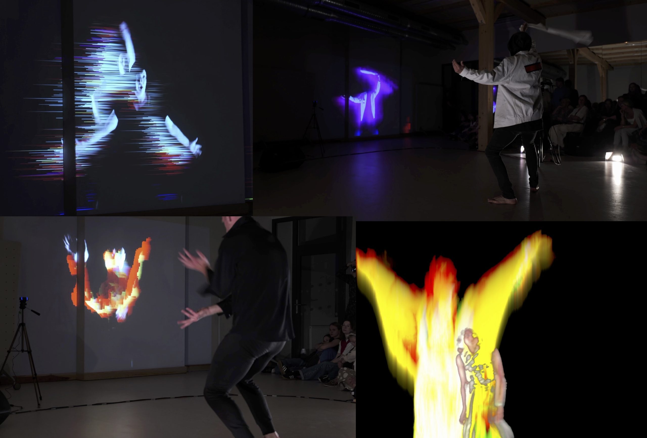 Perceptual Feedback - performance/interactive installation