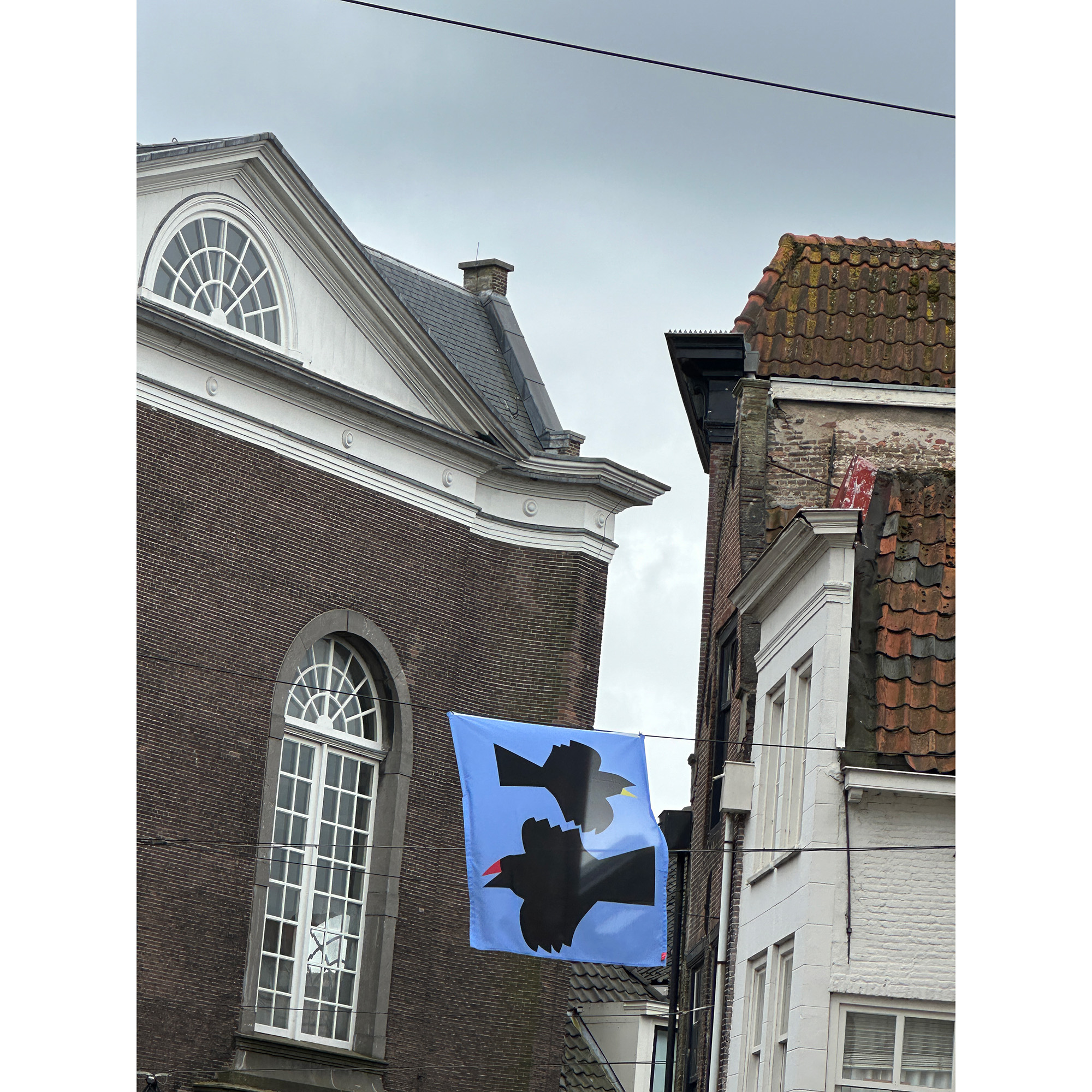 VLAGGENPARADE . Pictura 250 jaar . Dordrecht