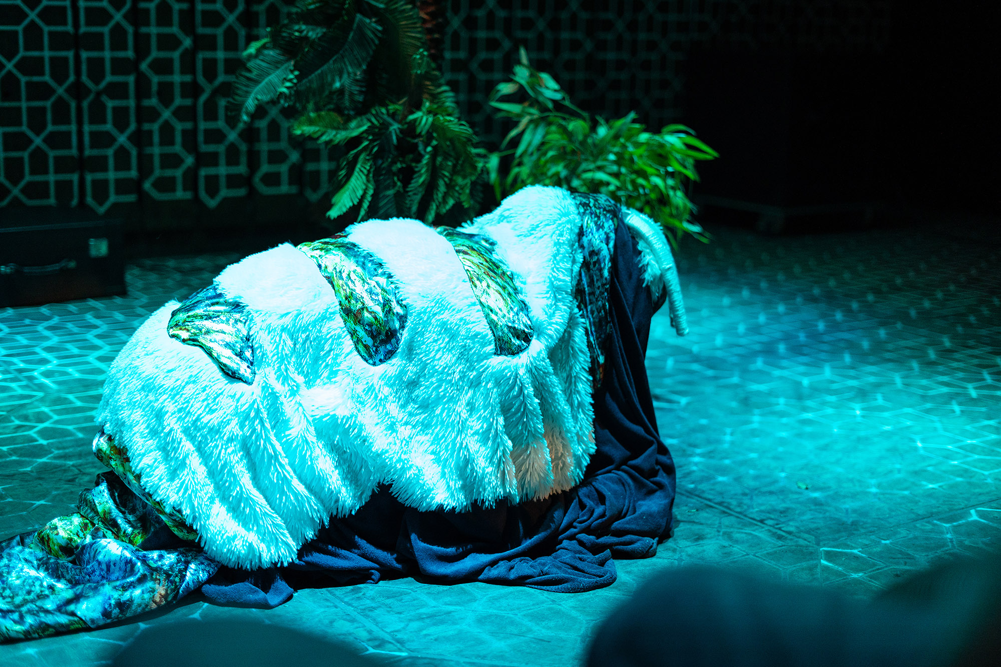Costumes for performance