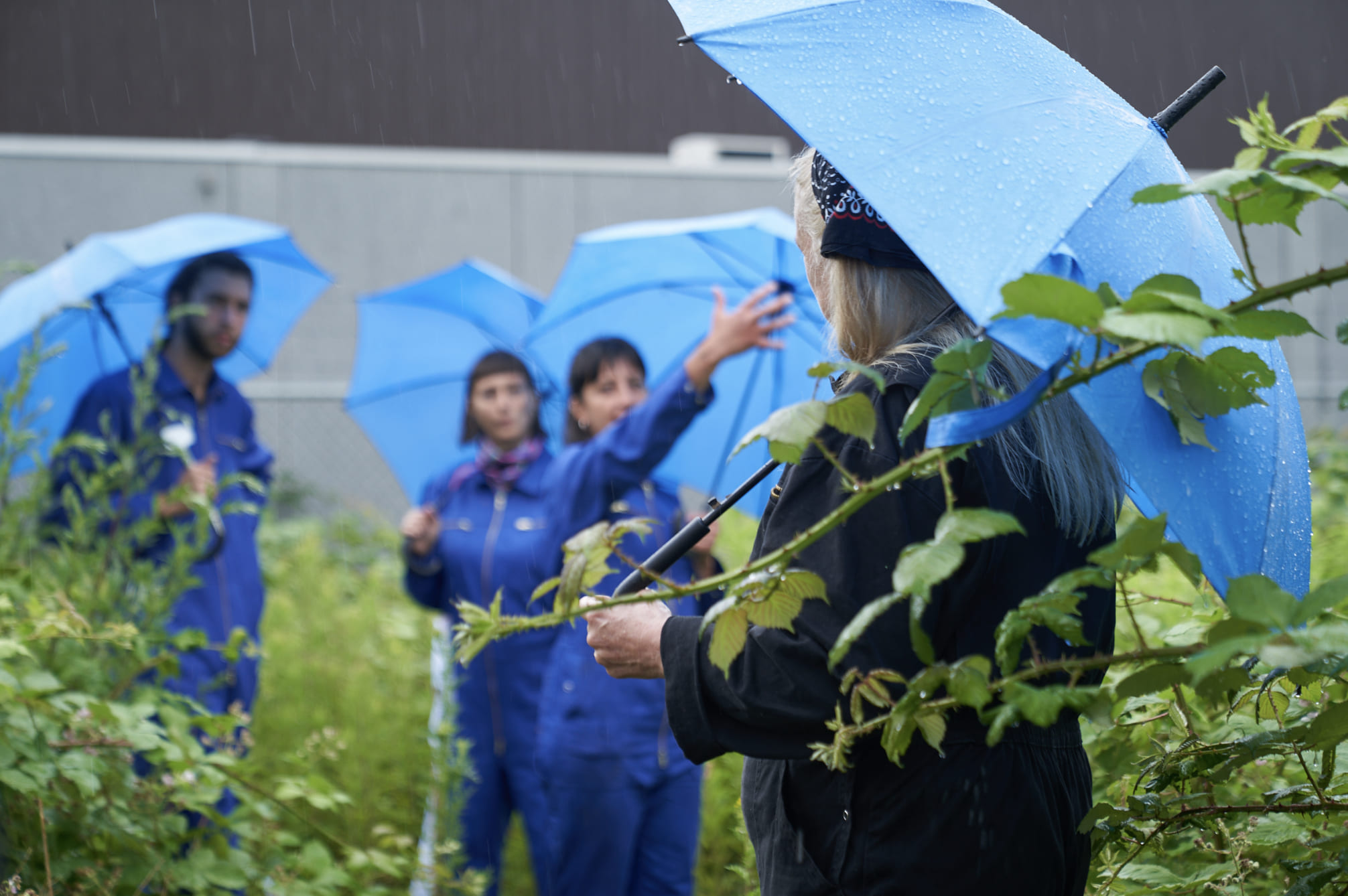 Present by Nature – exploring the cosmology of a leftover land