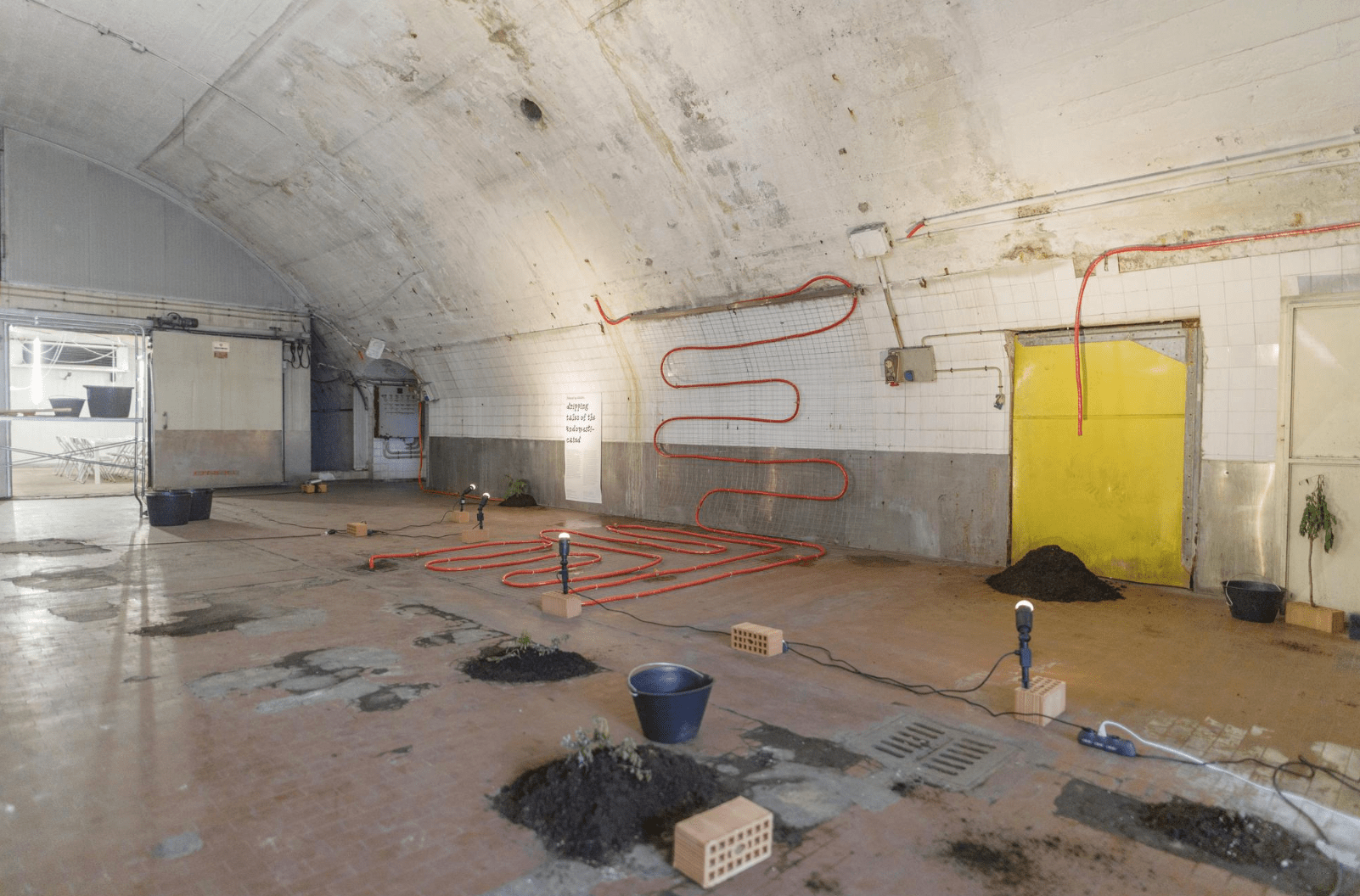 Dripping tales of the undomesticated