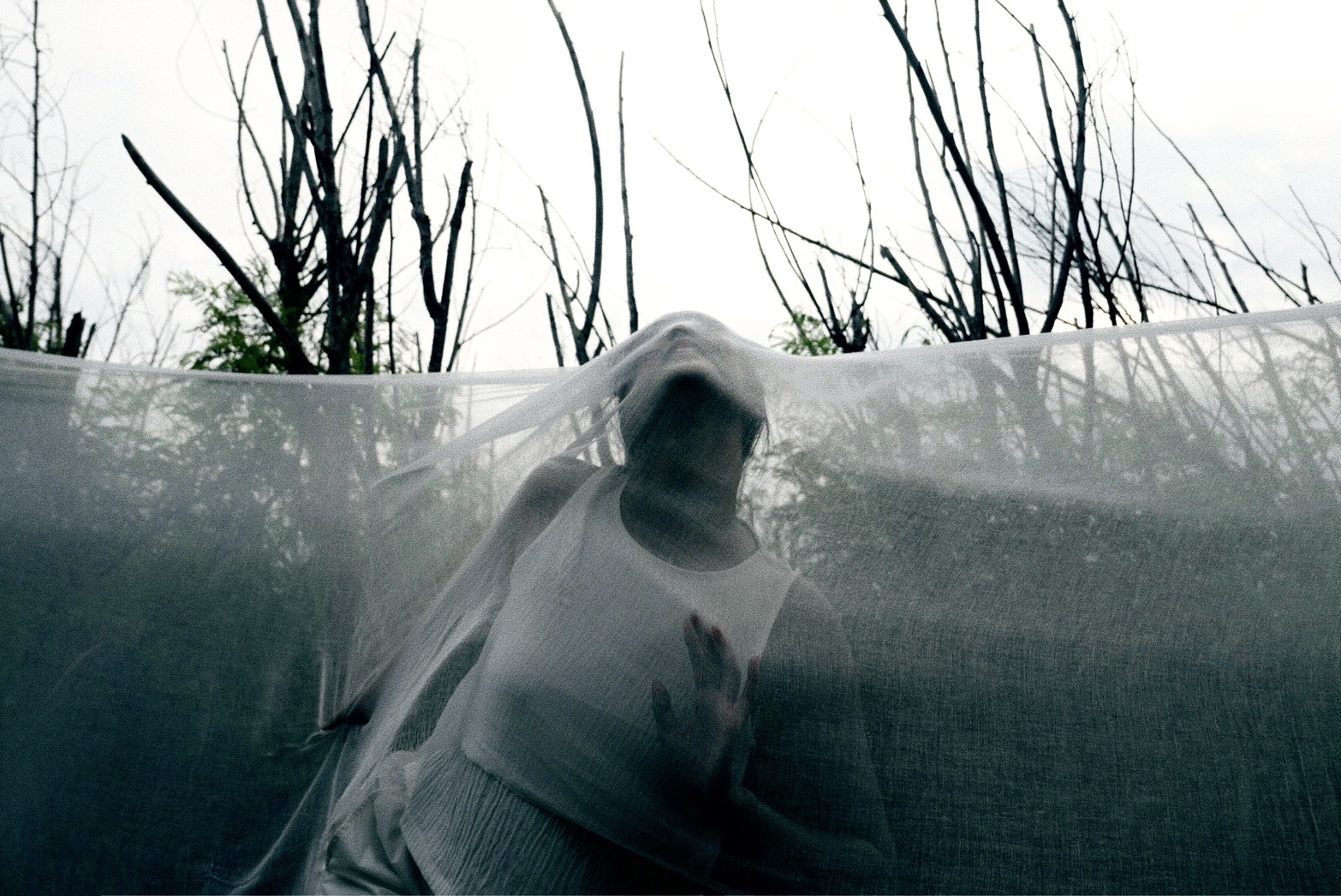 Ghosts in the foreign land_Field Research Promo