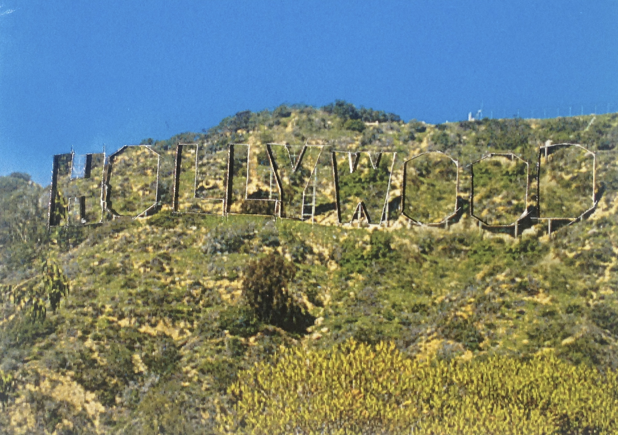 The Hill