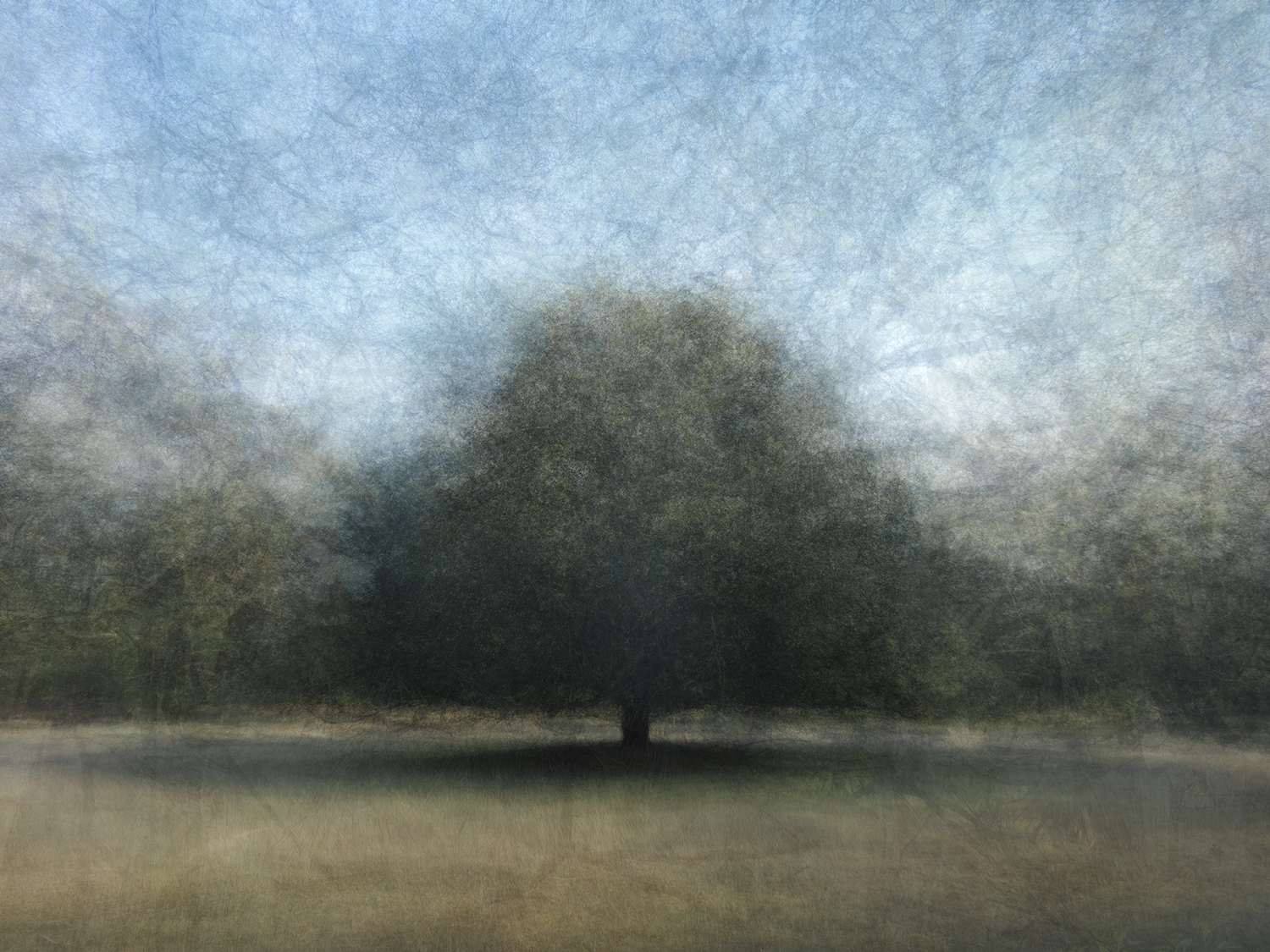 Ginkelse Heide