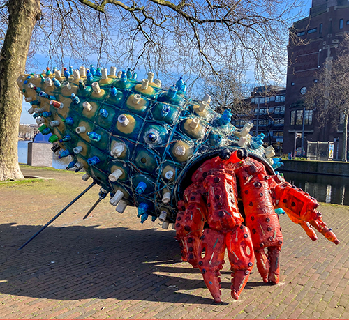 The Hermitage Crab
