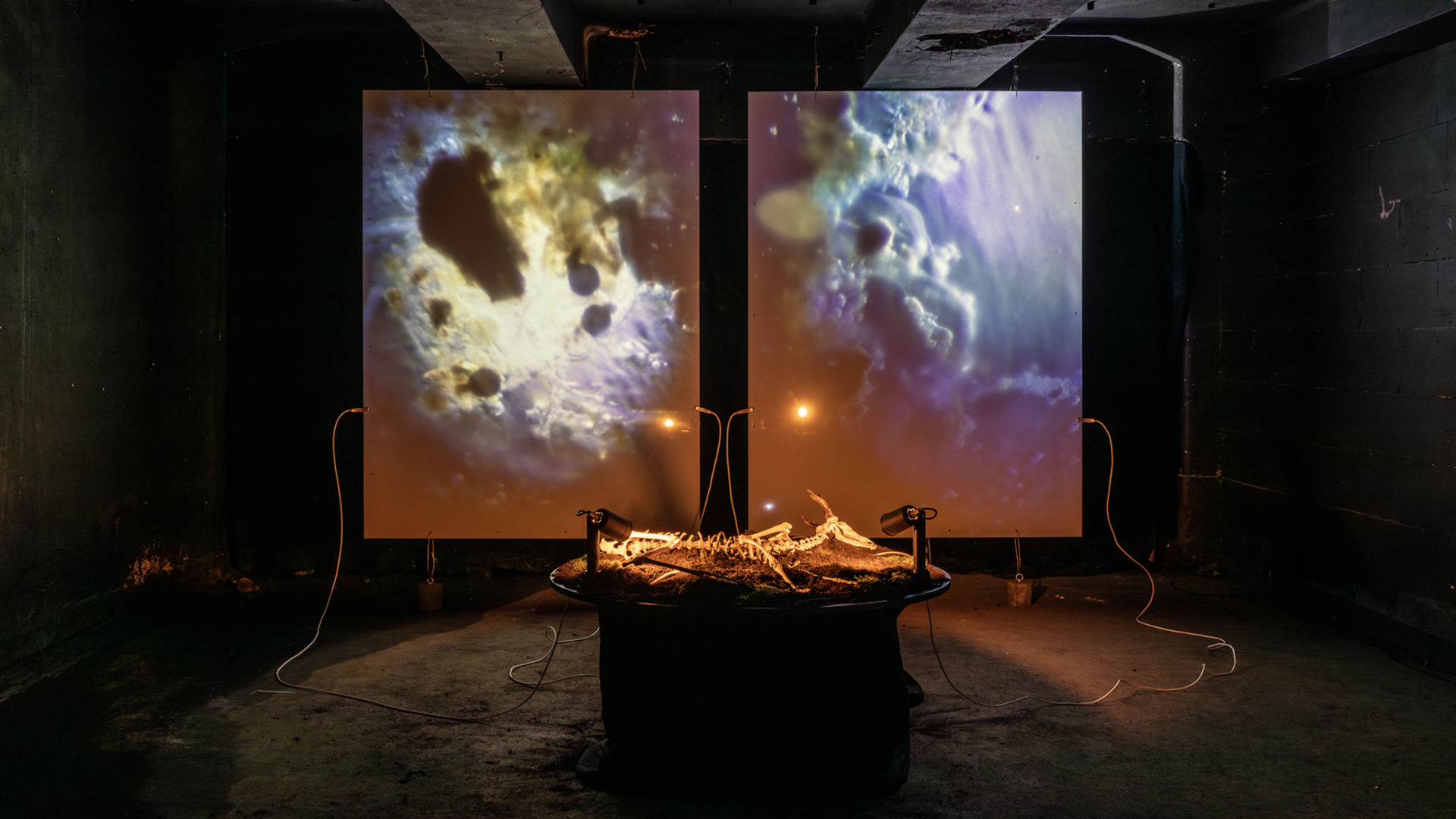 Necrosonic Landscapes