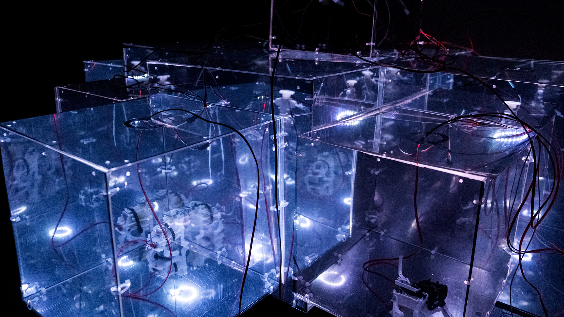 Reflections on Disturbed Cycles