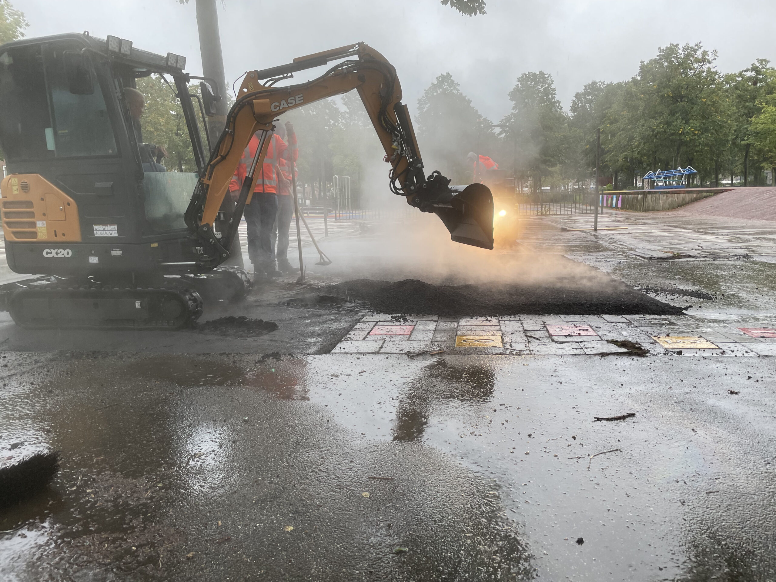 De wortels die omhoog komen, het asfalt scheurt