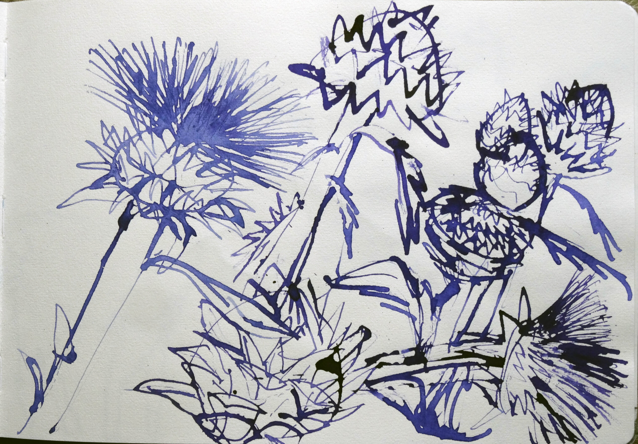 field sketchbook