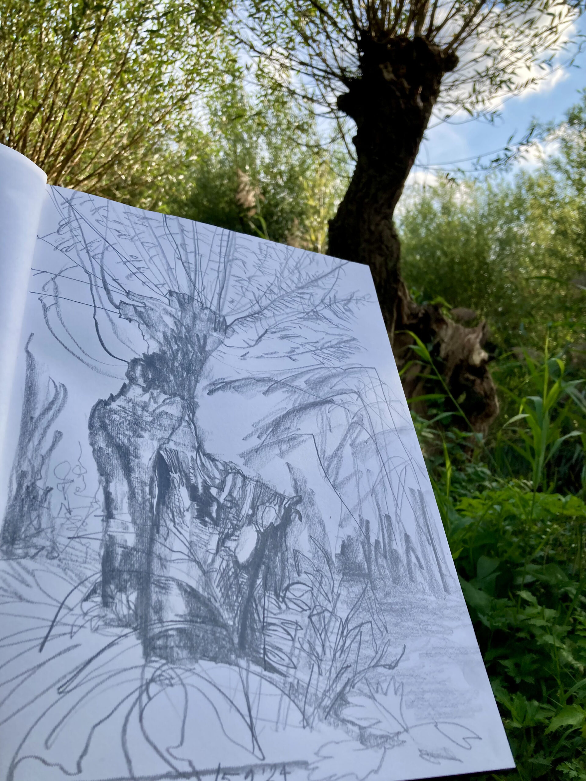 Sketchbook