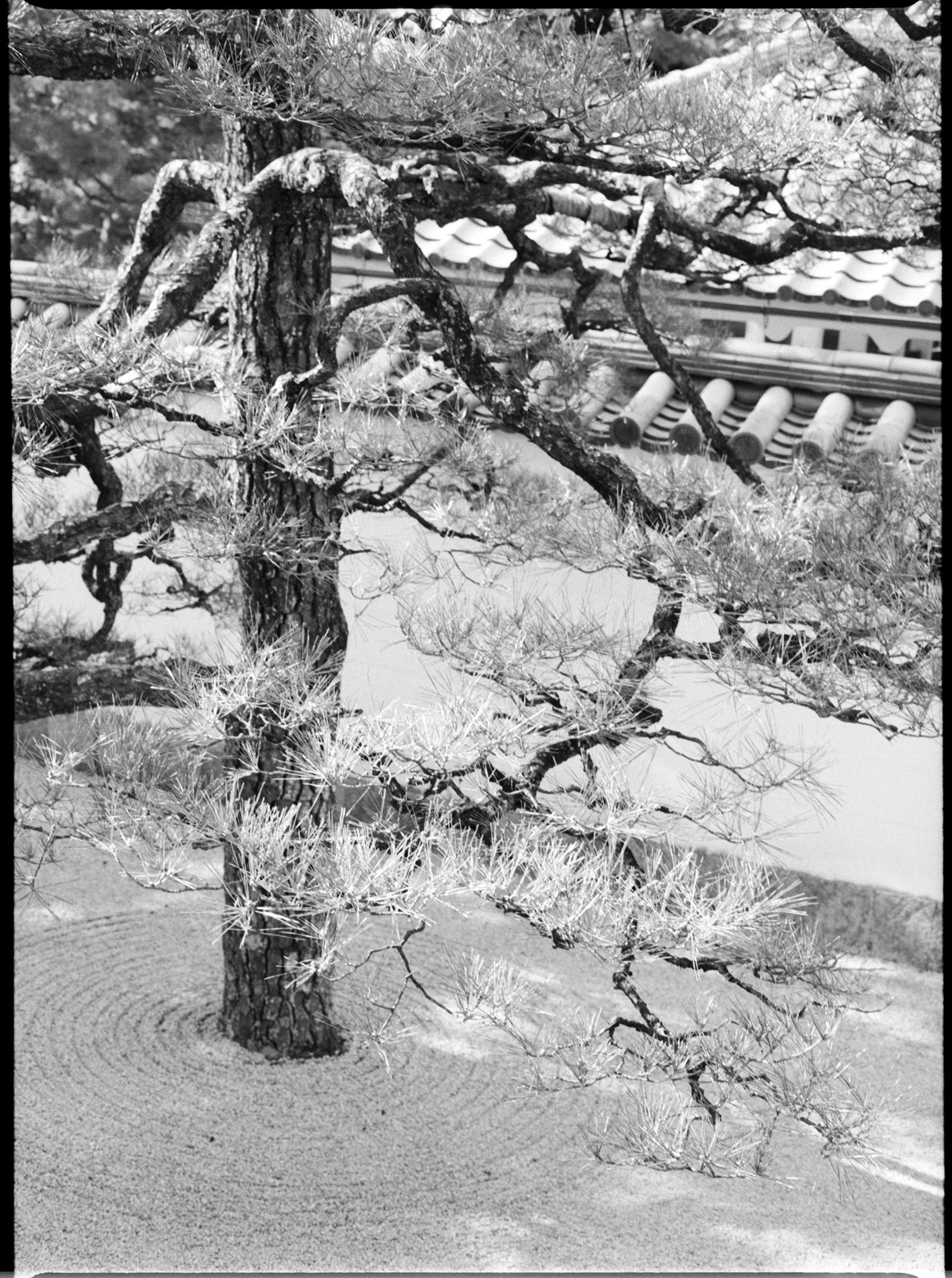 Temple garden, Kyoto, Japan 2023