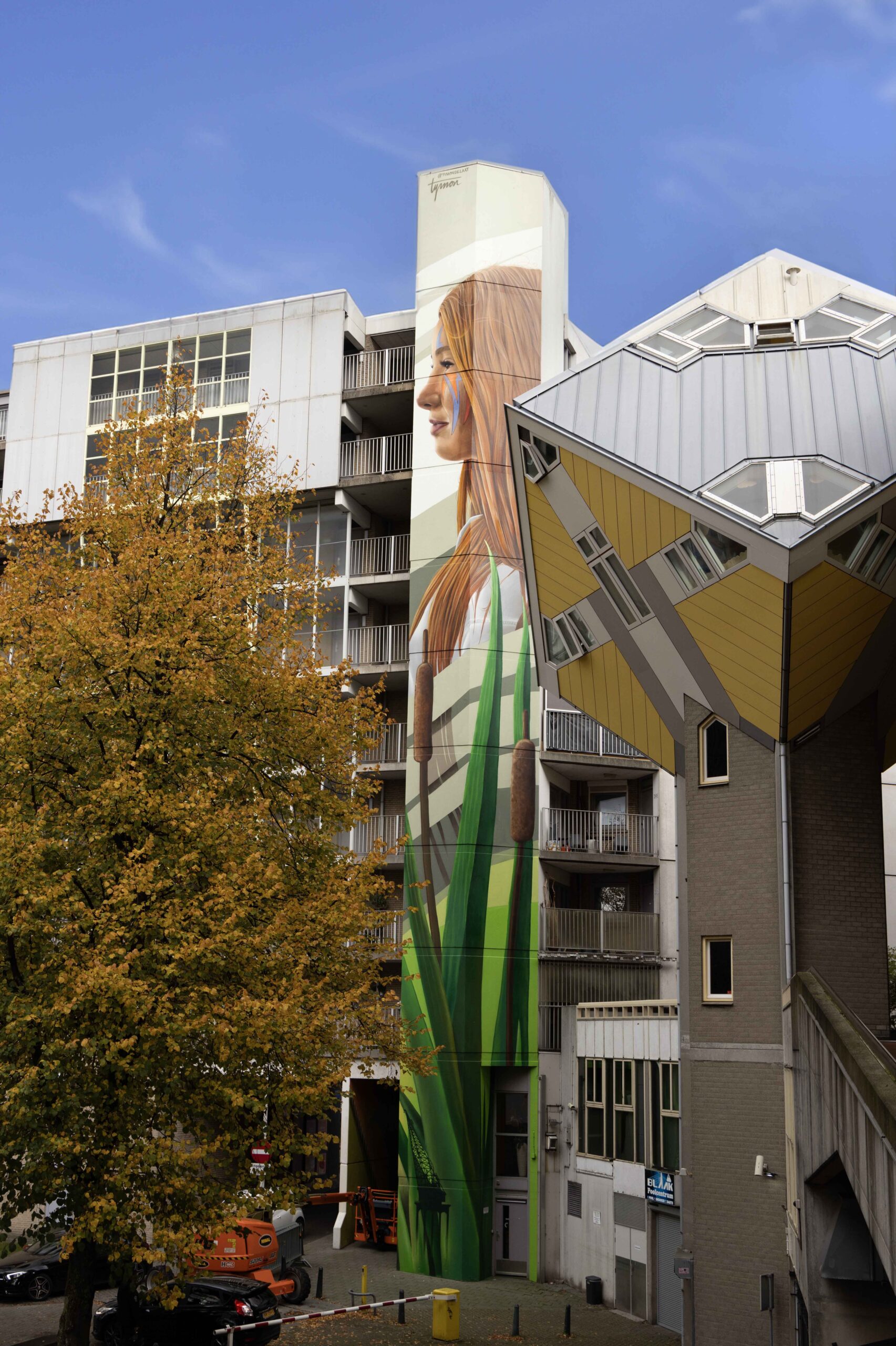 the Rotterdame
