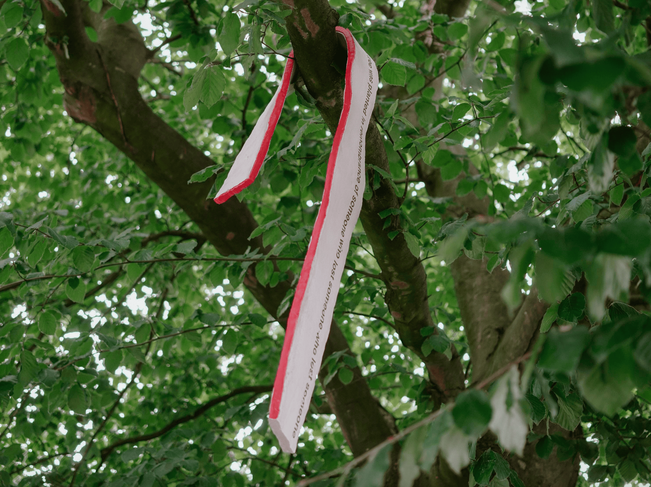 To Engulf - This tree was planted in rememberance of someone who lost someone who lost someone