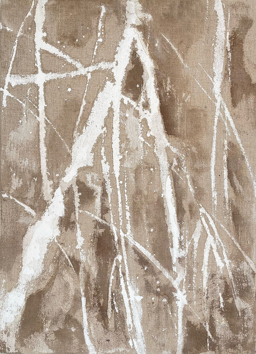 Tribute to the rainforest-3