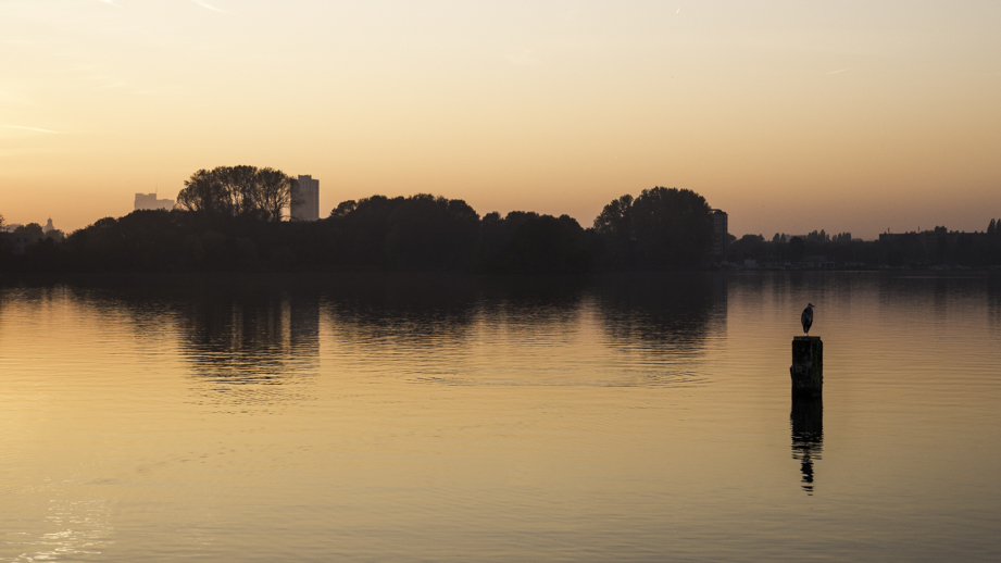 Stilte in de Stad #2
