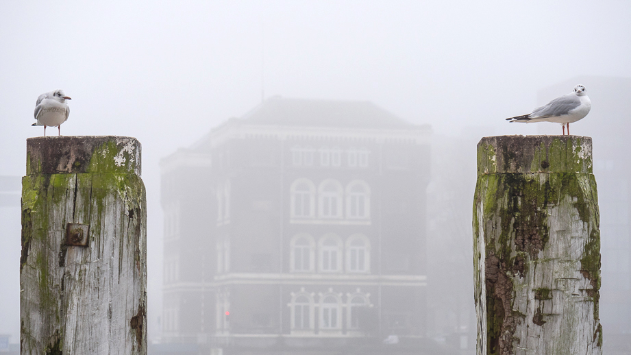 Stilte in de Stad #3