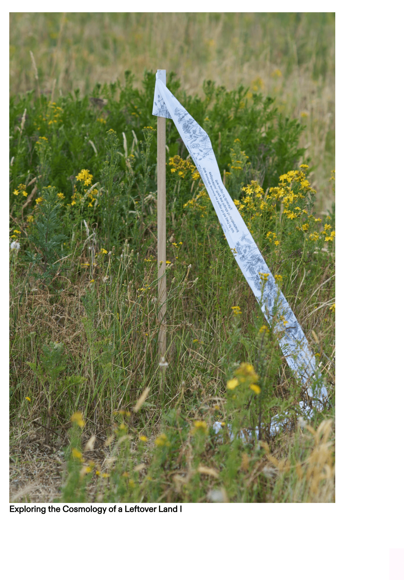Present By Nature-Exploring the cosmology of a leftover land