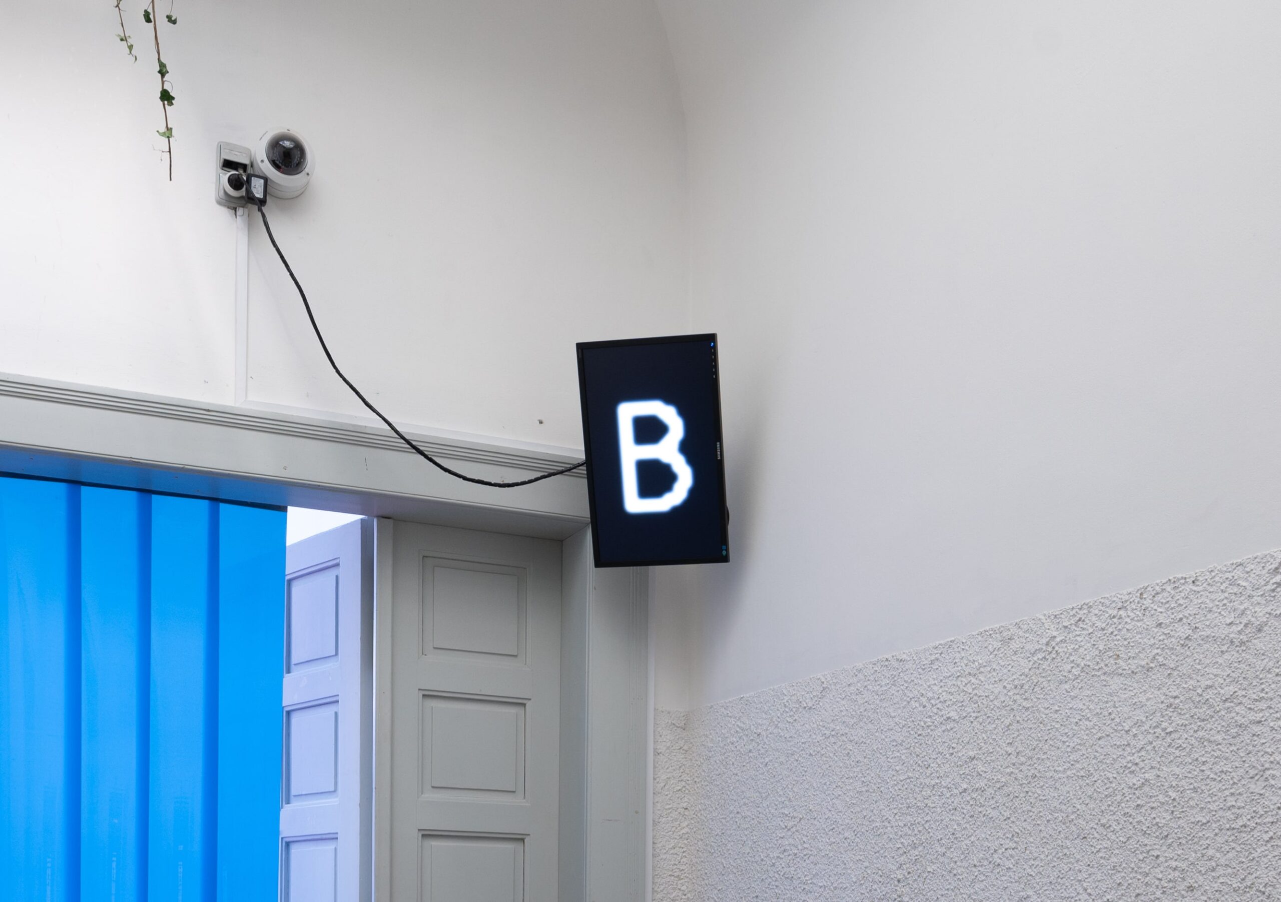A B is a B and a B, 2025