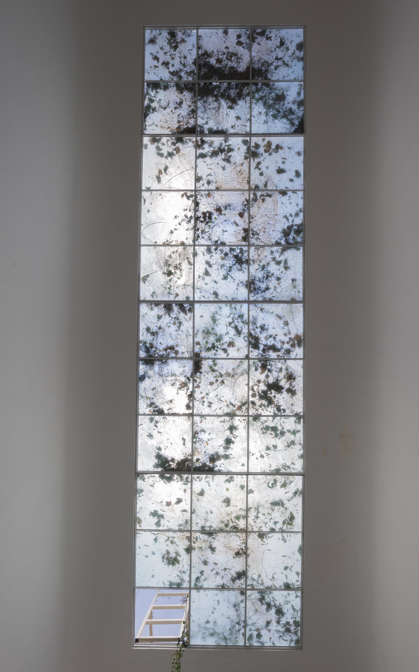 Window Wash, 2025