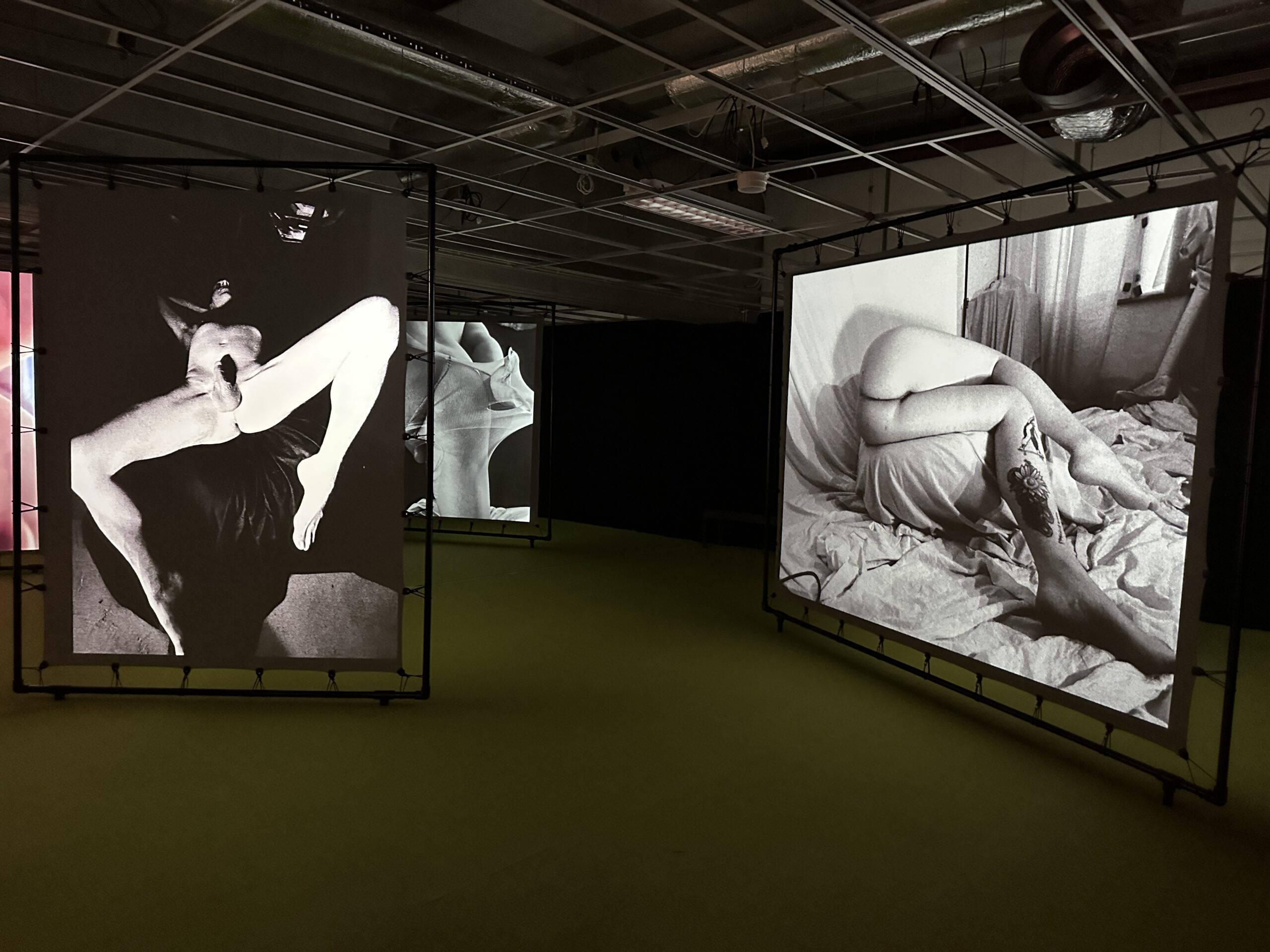 Sex Shooter – The Liberation of Sexual Identity.  Noorderlicht