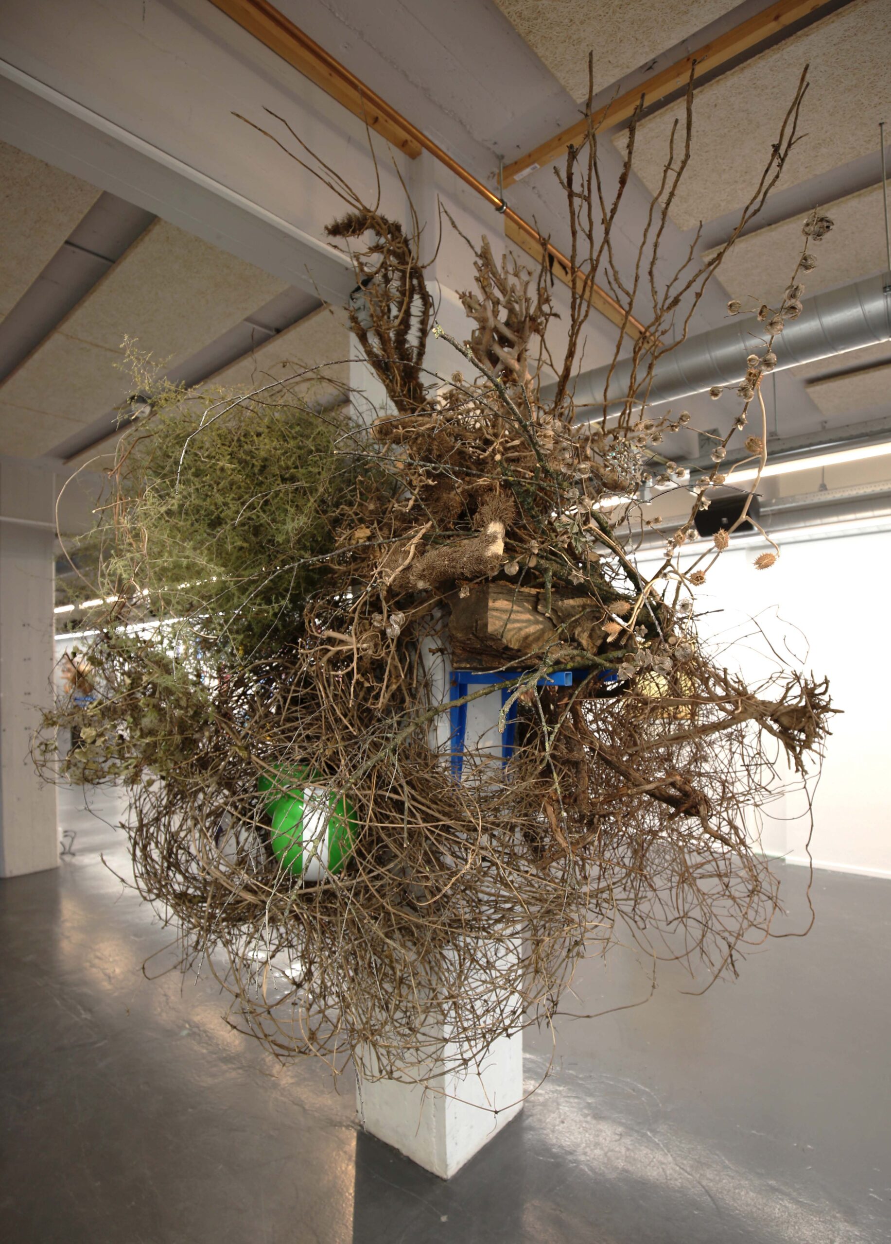 NATURE OBJECT #24 (2024)