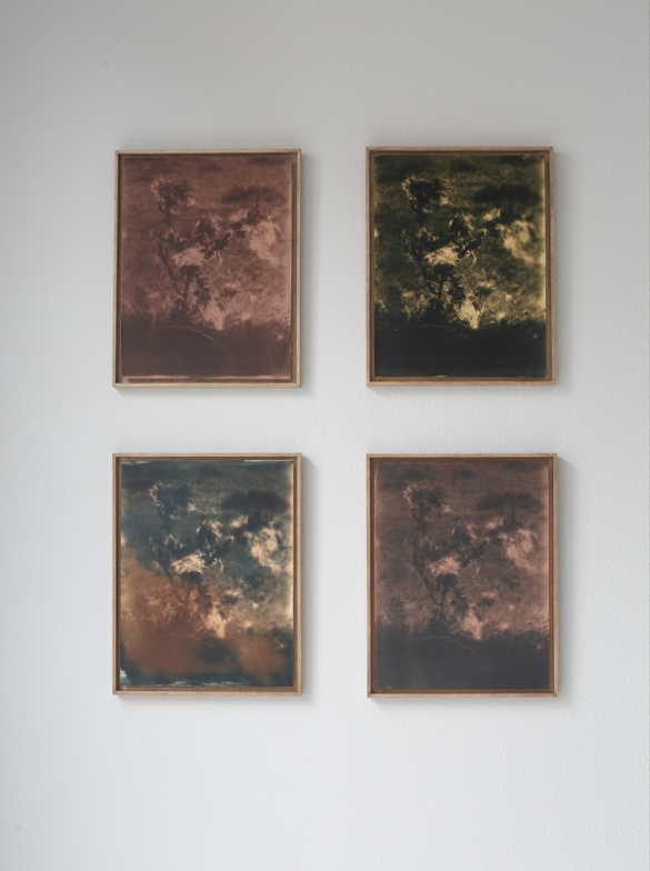 de zee reist rond