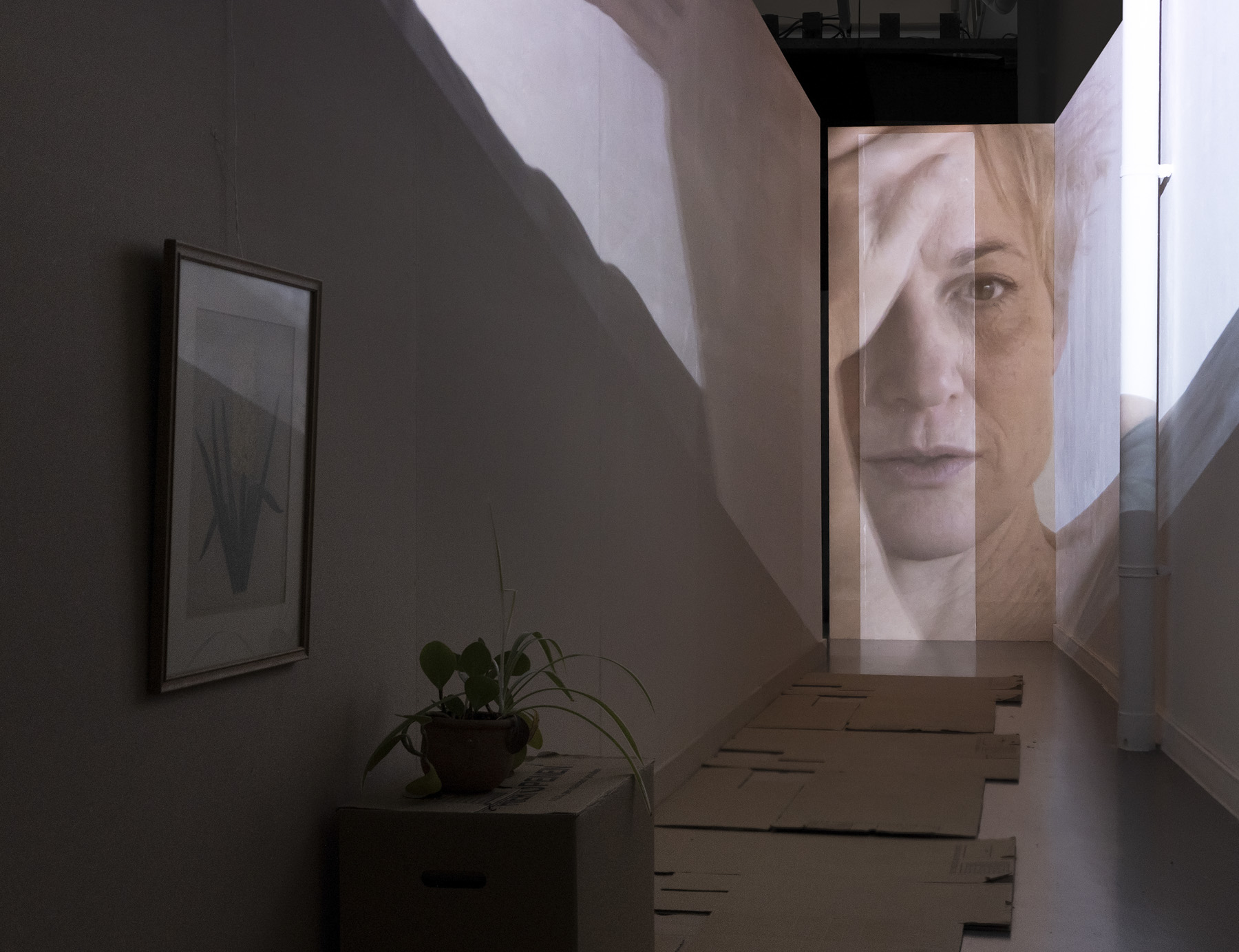 I dream about this house every once in a while, 2023 (film installatie)