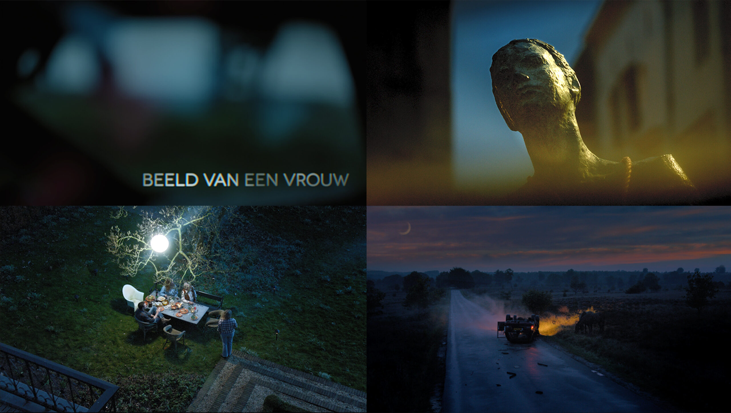 Beeld van een Vrouw (2014)