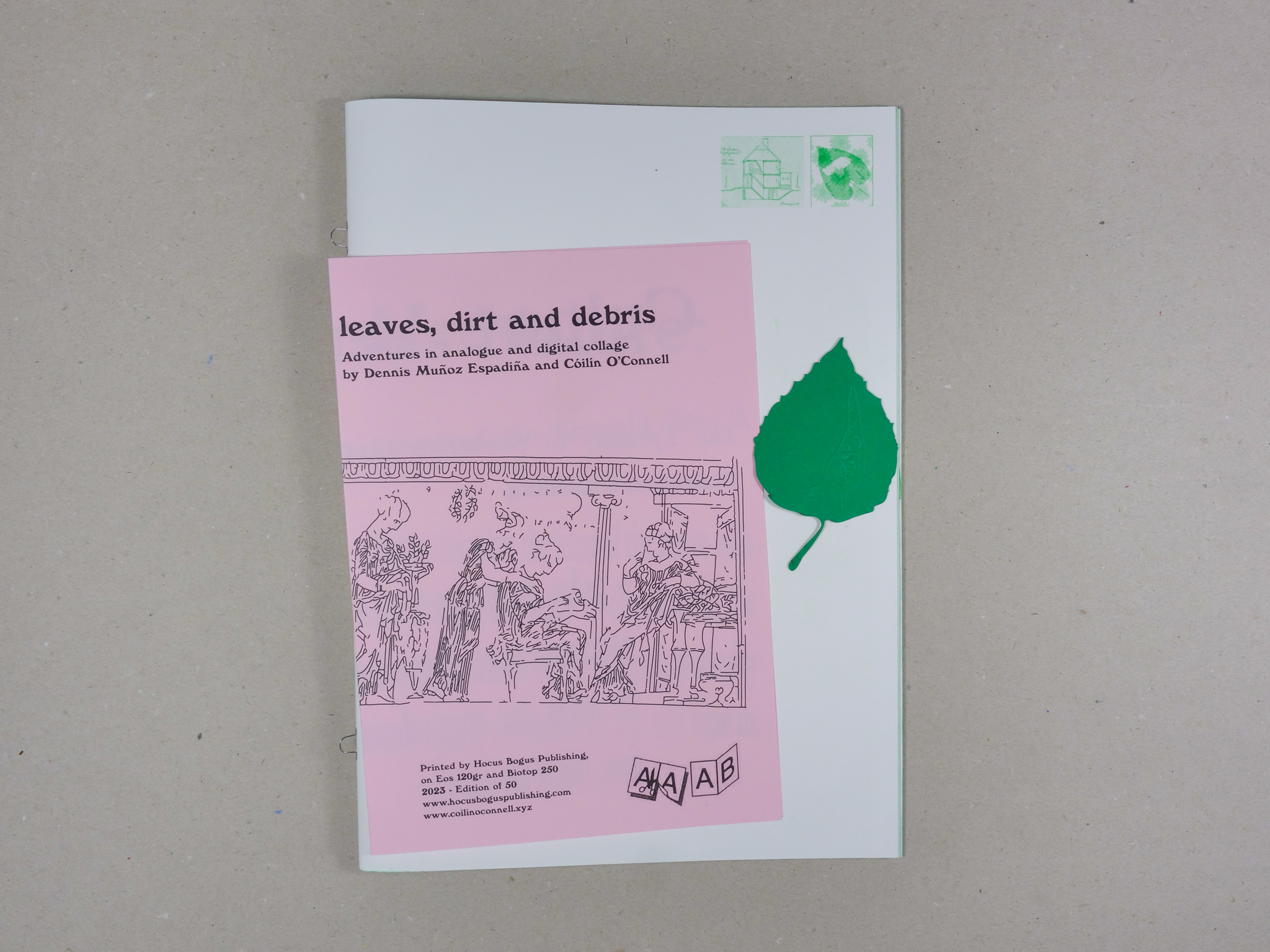 Leaves, dirt and debris
