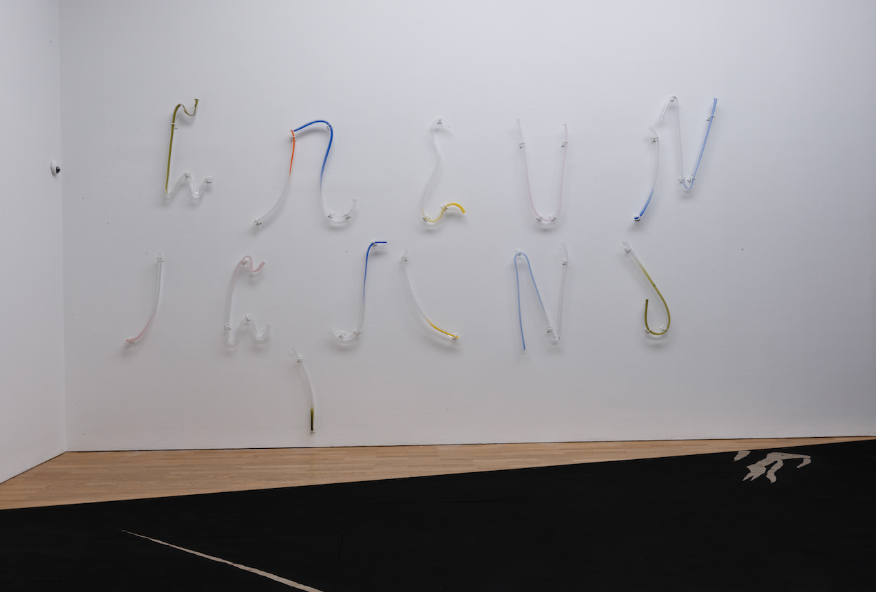 Becoming Alphabet