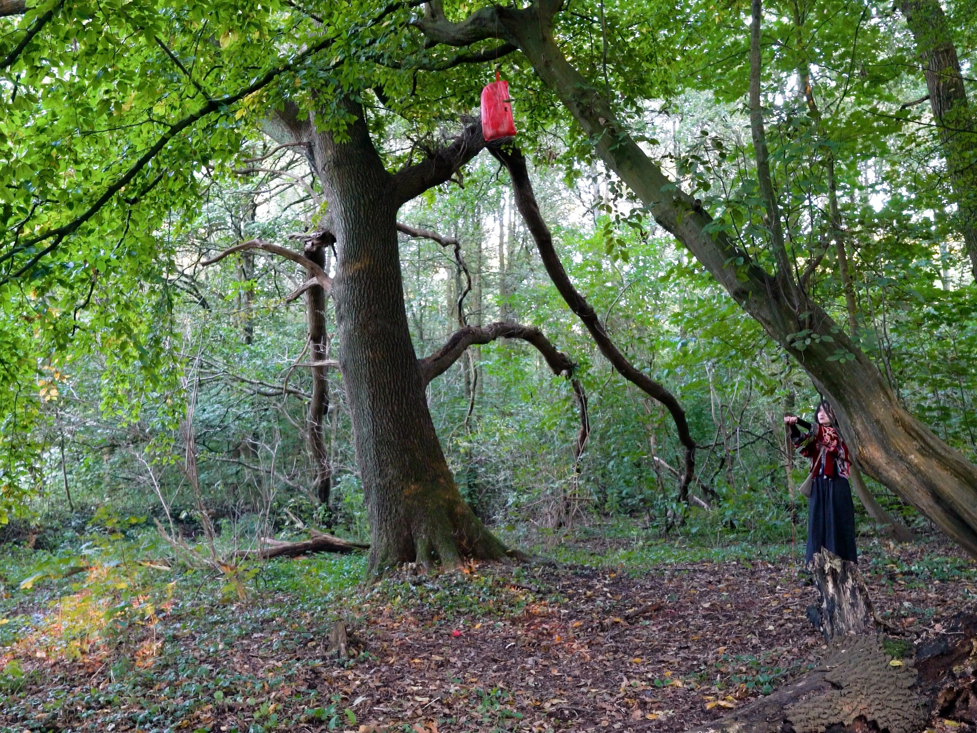 She ground a bone near at hand. The ashes she made into a mould,