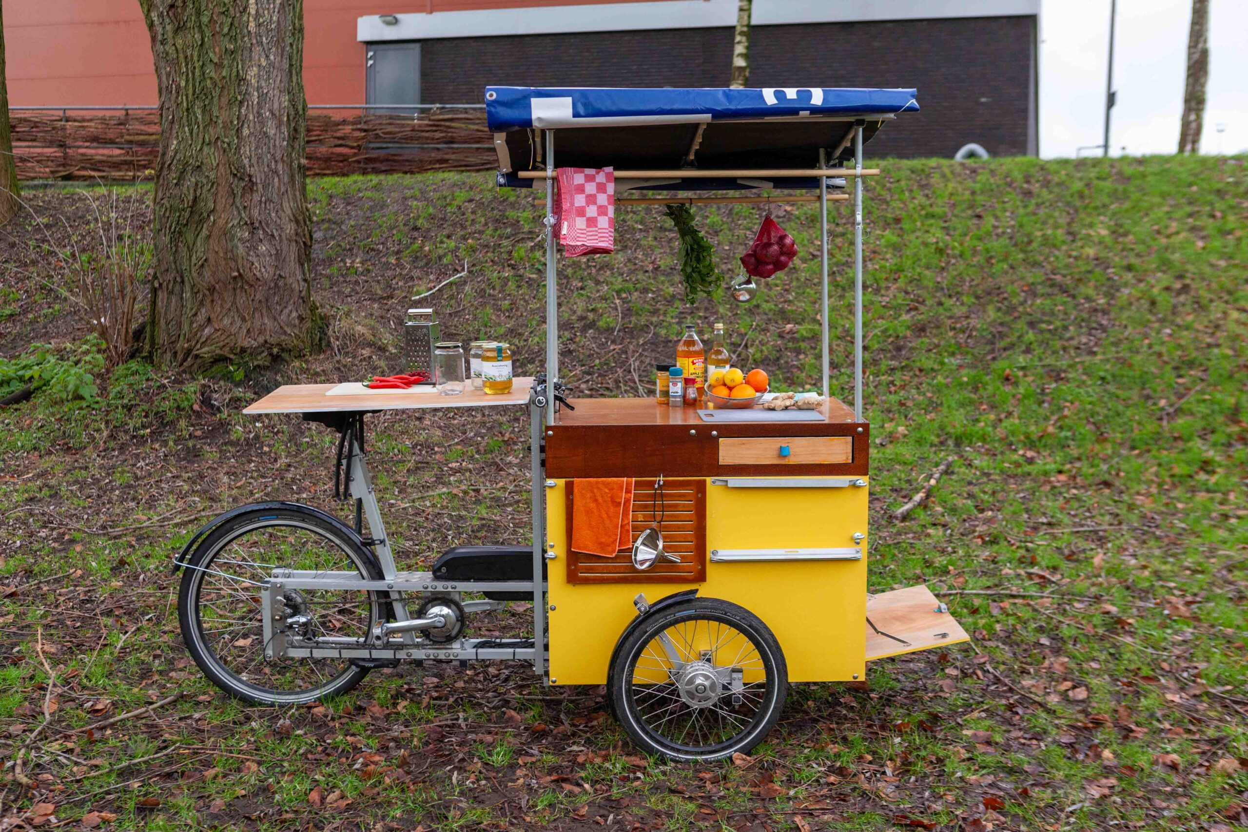 Garage School of Medicine Mobile Apothecary