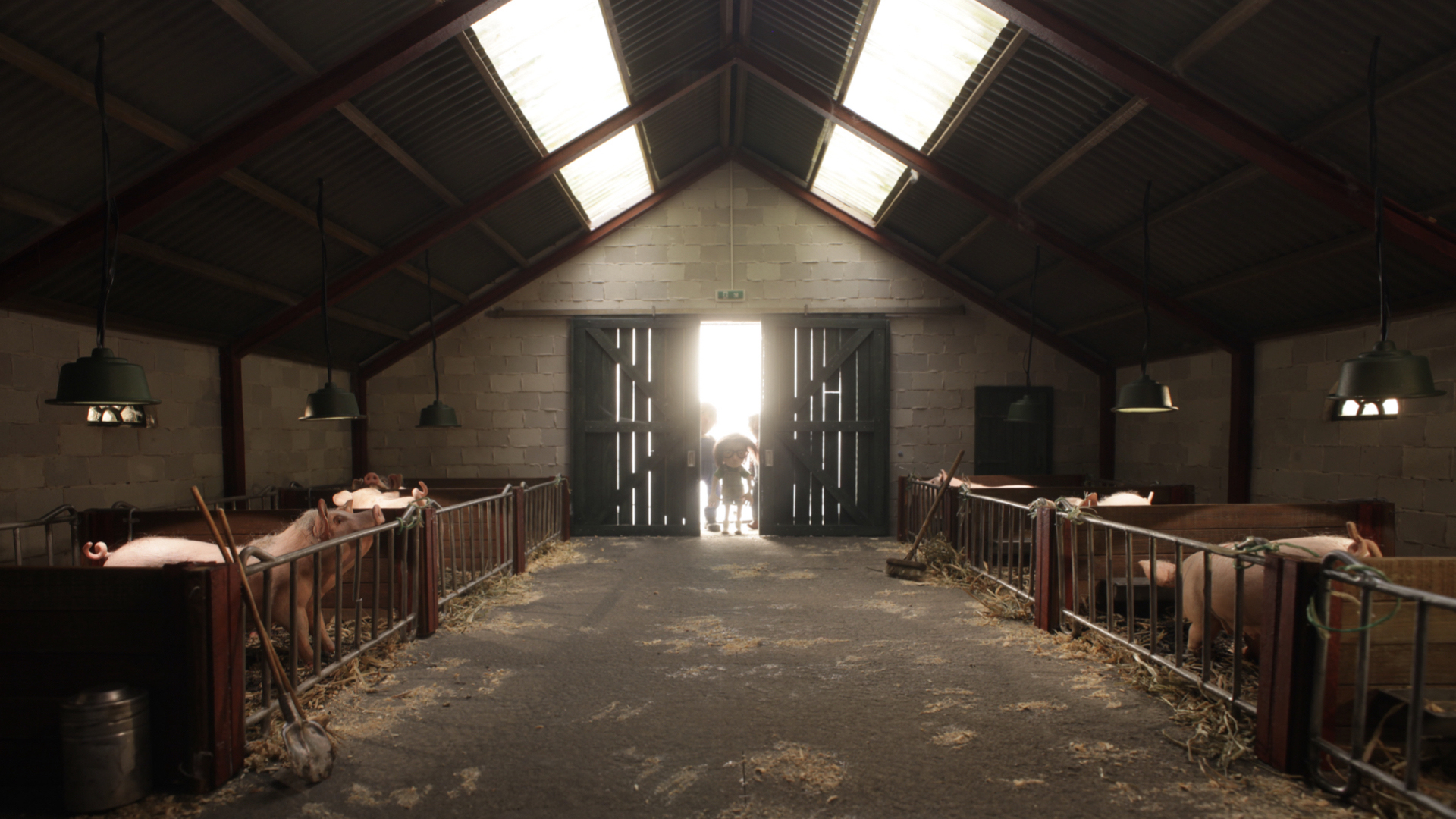 Knor (Feature film)