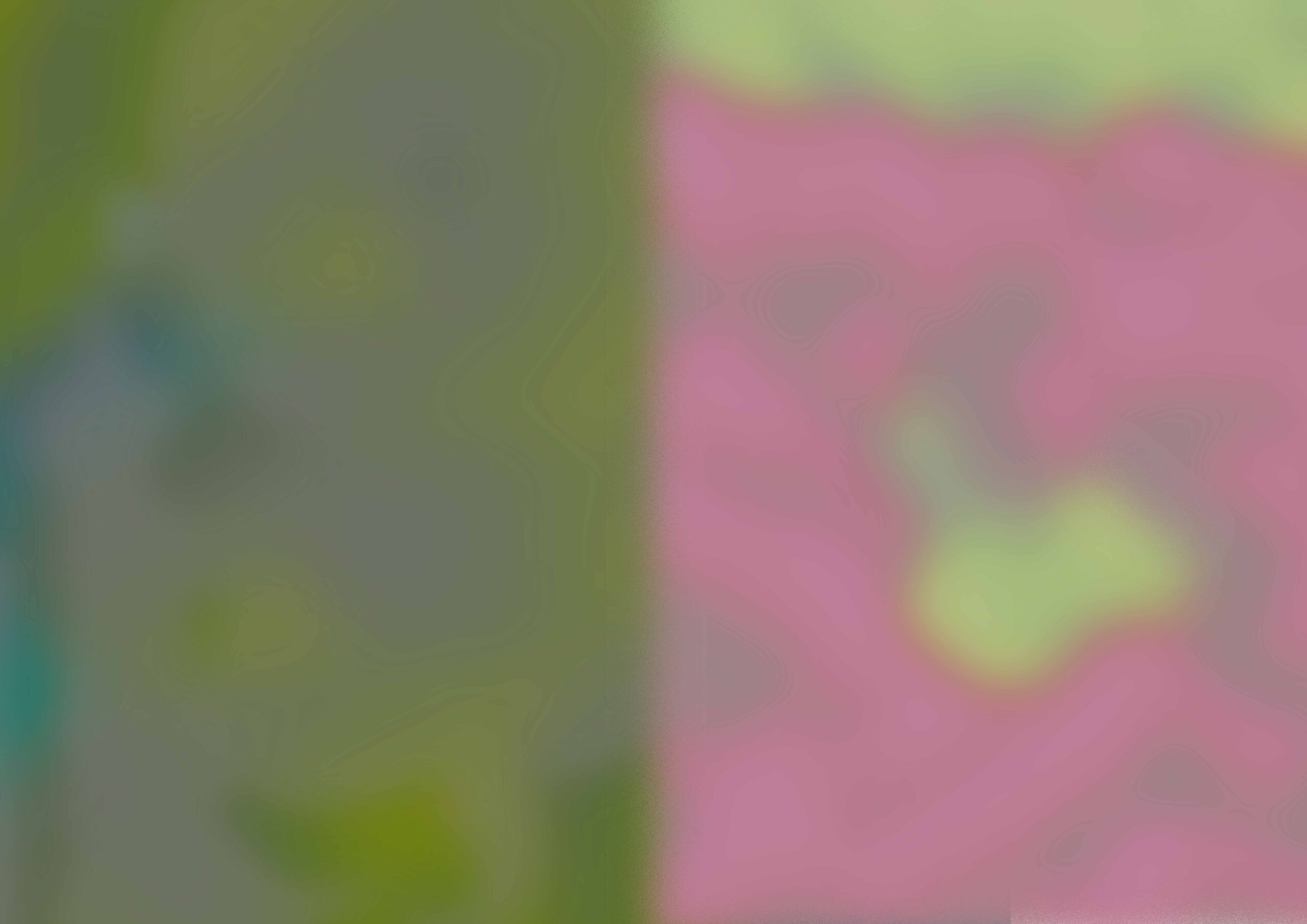 Untitled (2024)