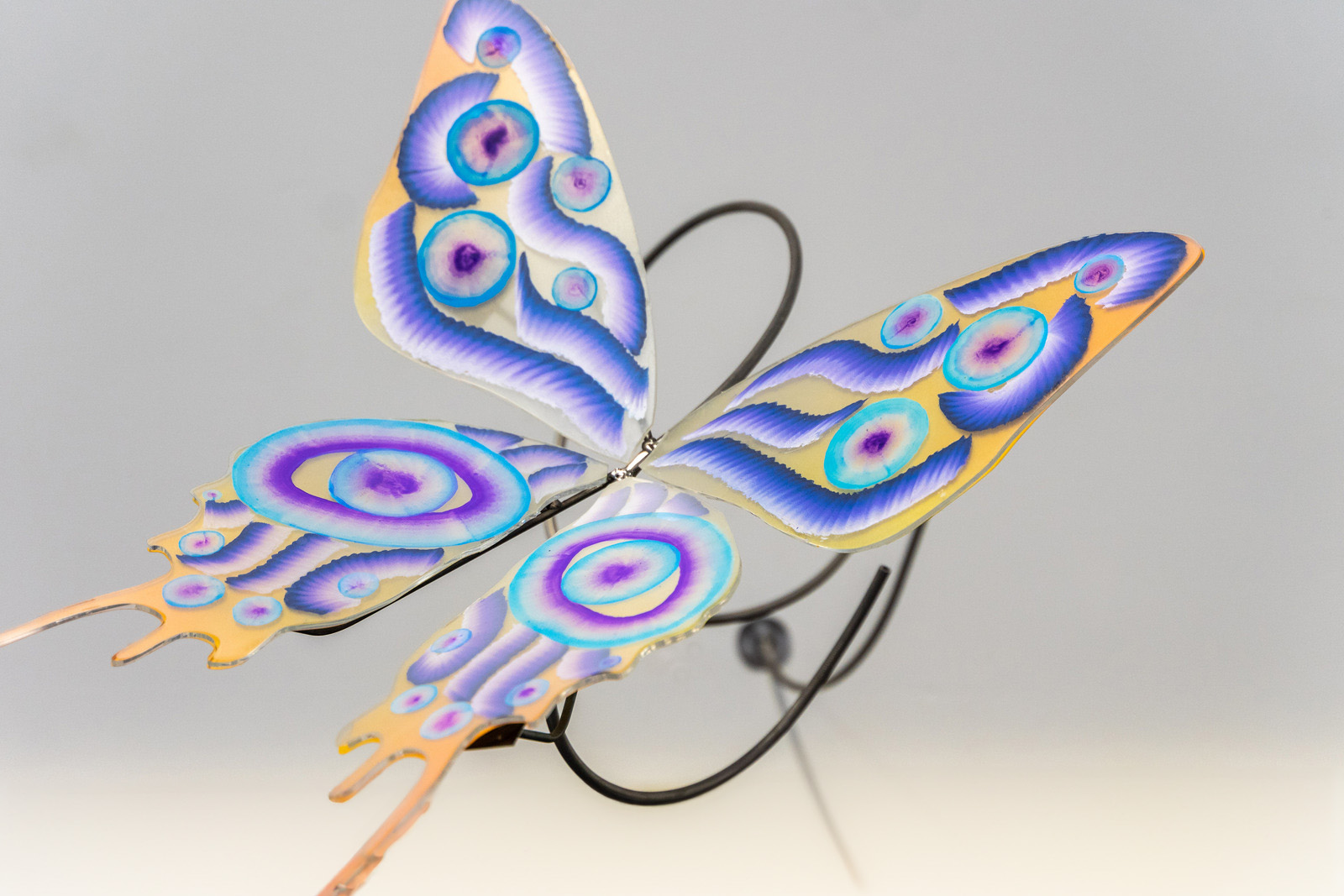 Installation ‘The evil eye and the butterfly lie’