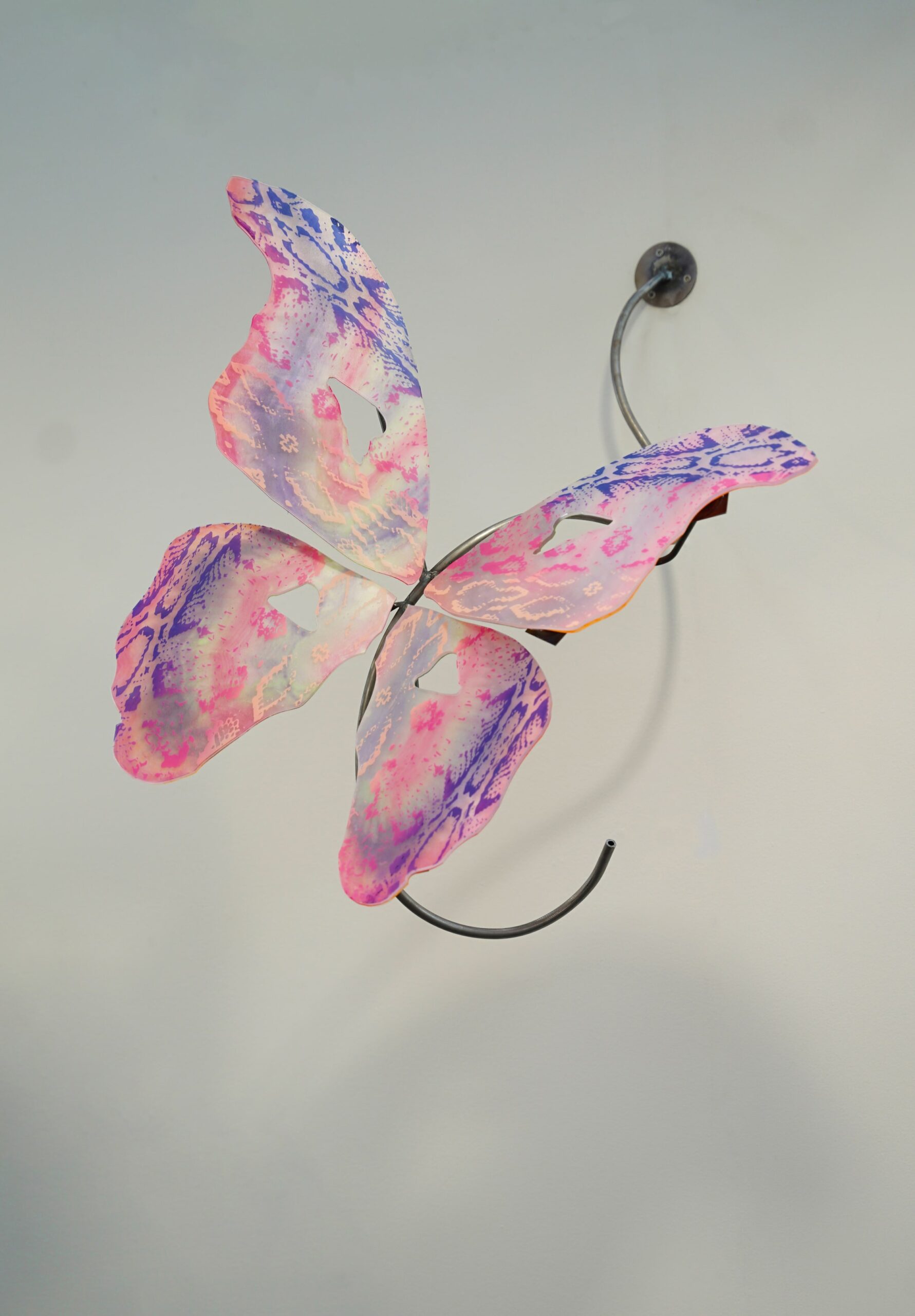 Installation ‘The evil eye and the butterfly lie’