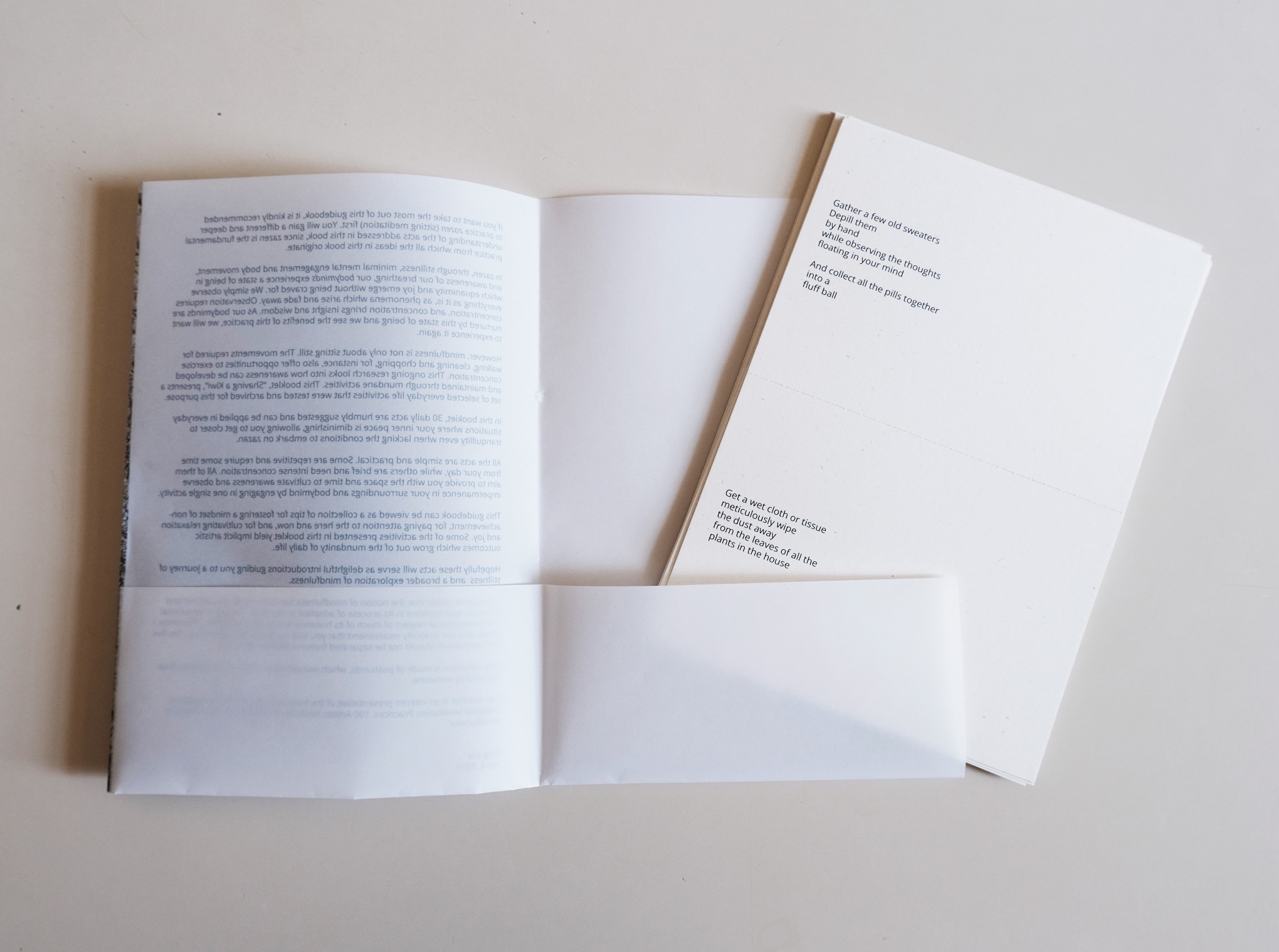 Zine: Shaving a Kiwi