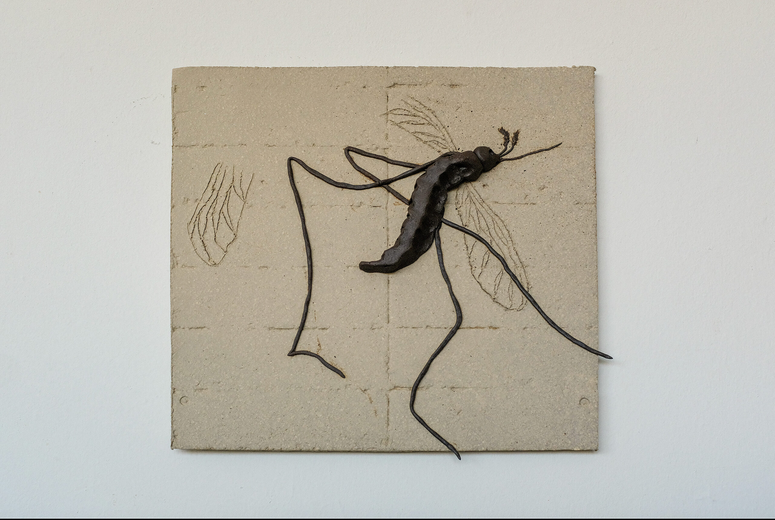 vo'a poner un escrín