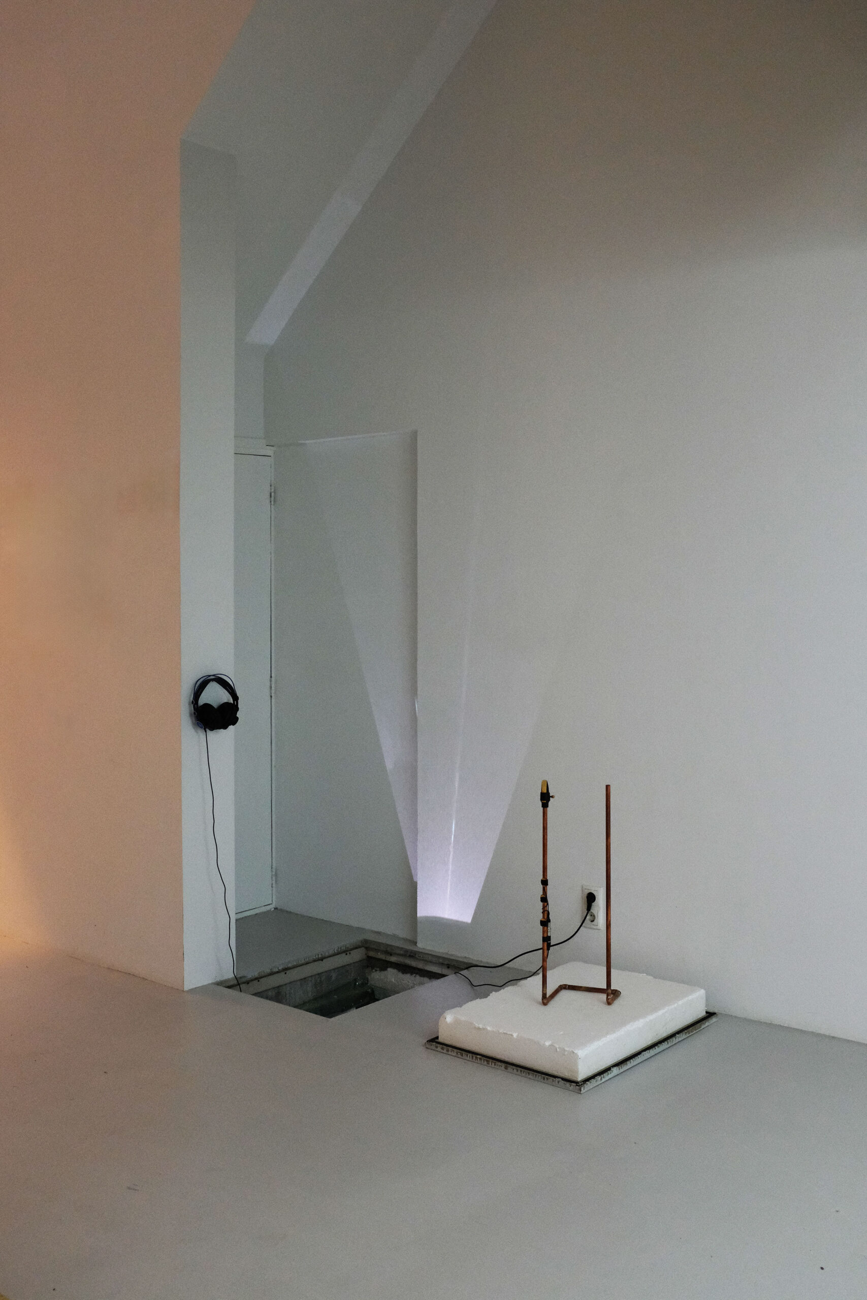 Sounds from Rib's crawlspace