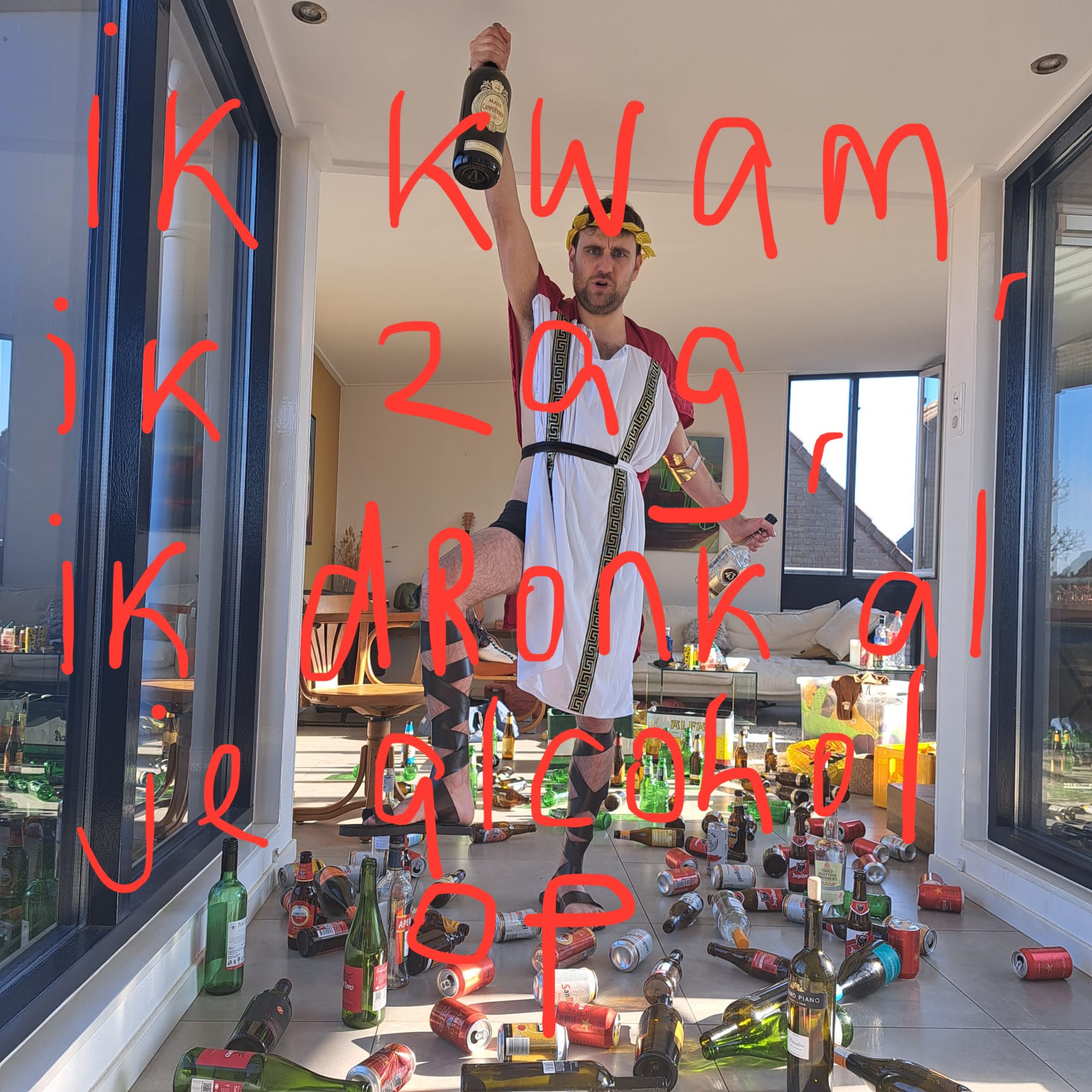 Ik kwam, ik zag, ik dronk al je alcohol op