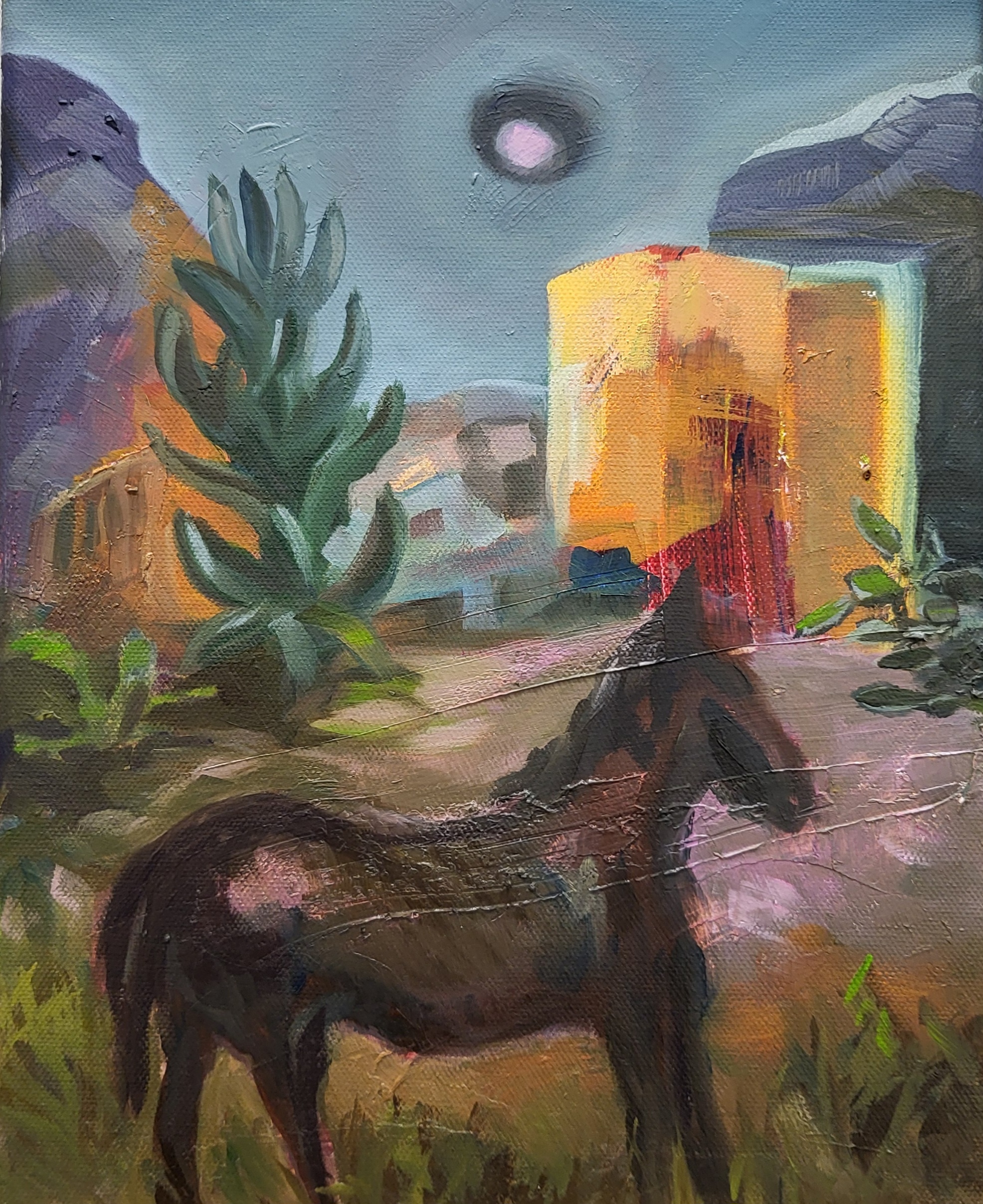 A horse with no name, 2025