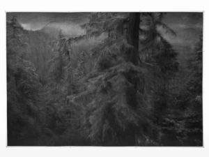 Towering Pines, 2012, 240x350cm, Collectie Museum Voorlinden