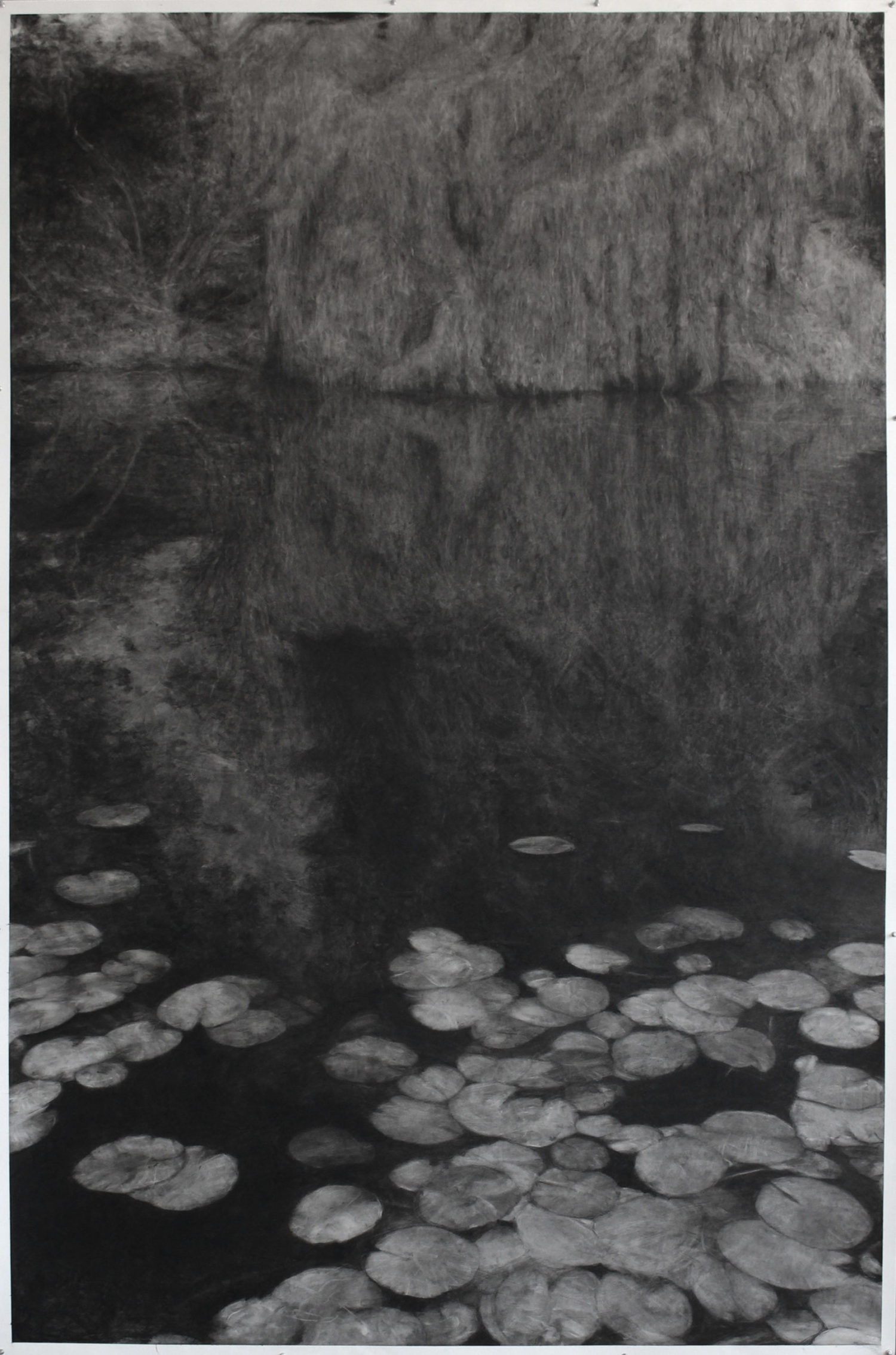 Reflected Tree #4, Weeping Willow, 2021, 240x160, particuliere collectie