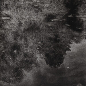Pond 1, 2024, collectie Wim Pijbes