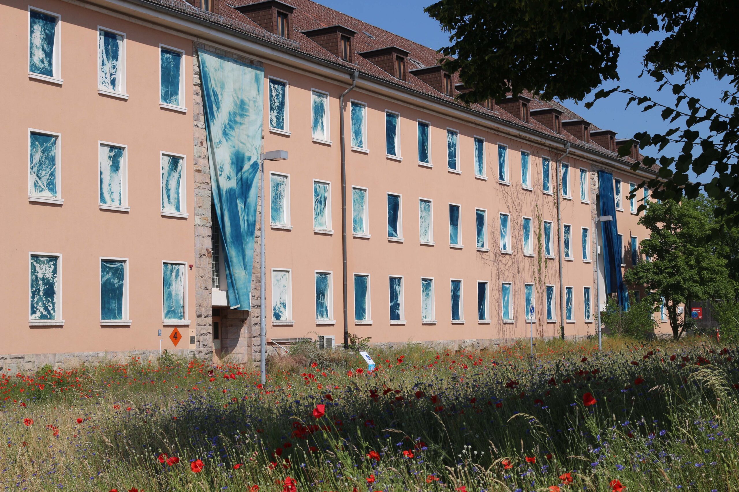 Under the same sun: Reallabor fur Erneuerbare Fotografie
