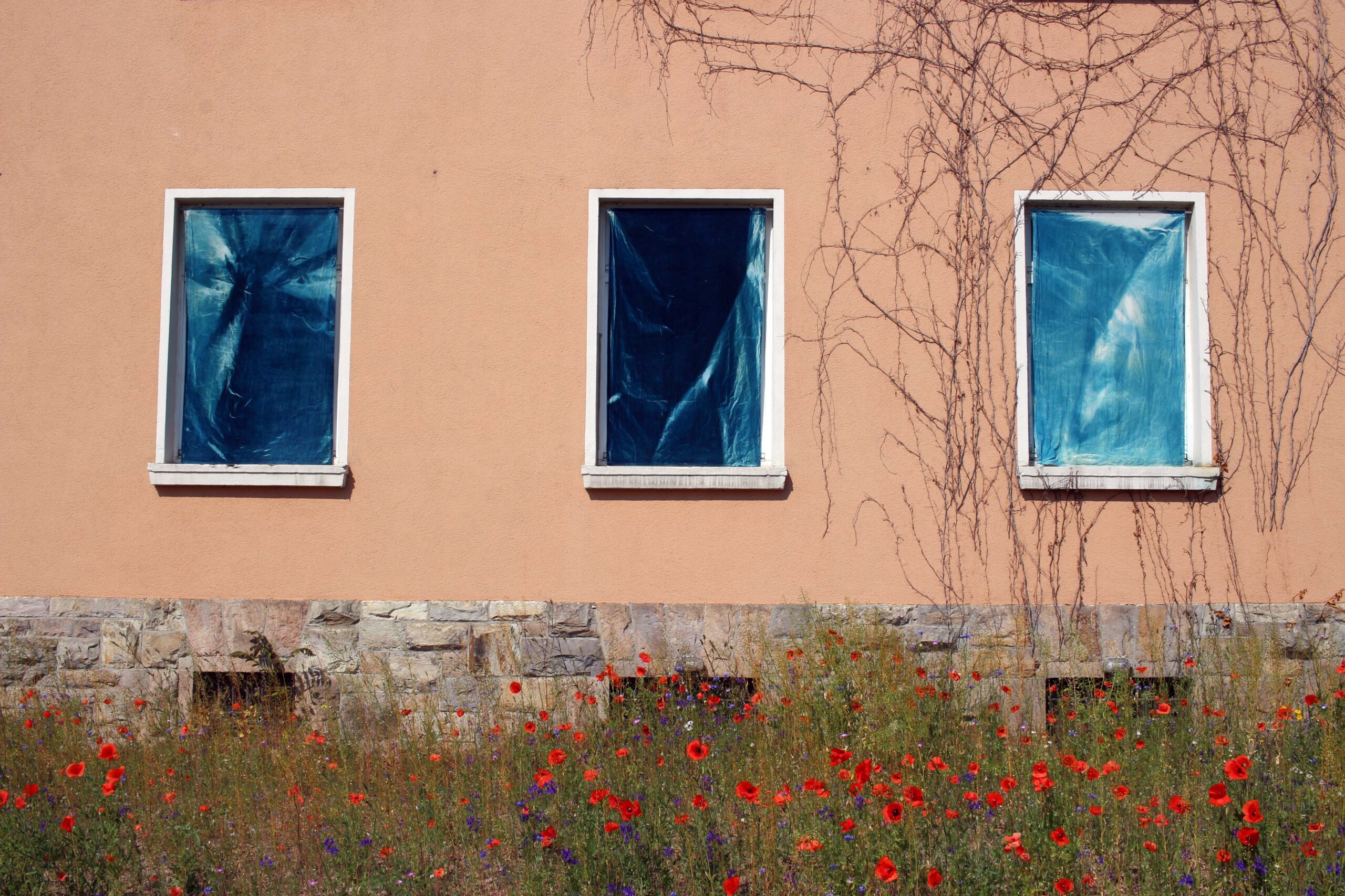 Under The Same Sun: Reallabor fur Erneuerbare Fotografie