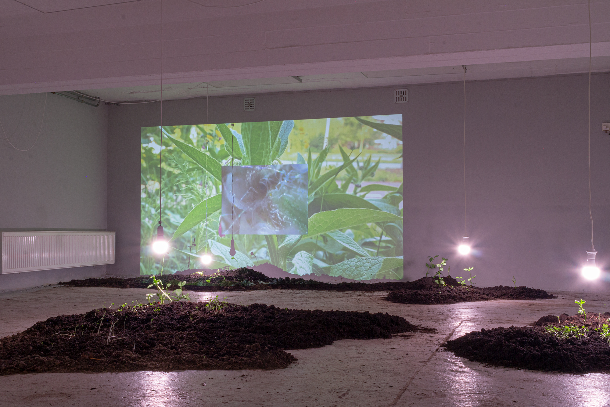 an other world: What We Build On