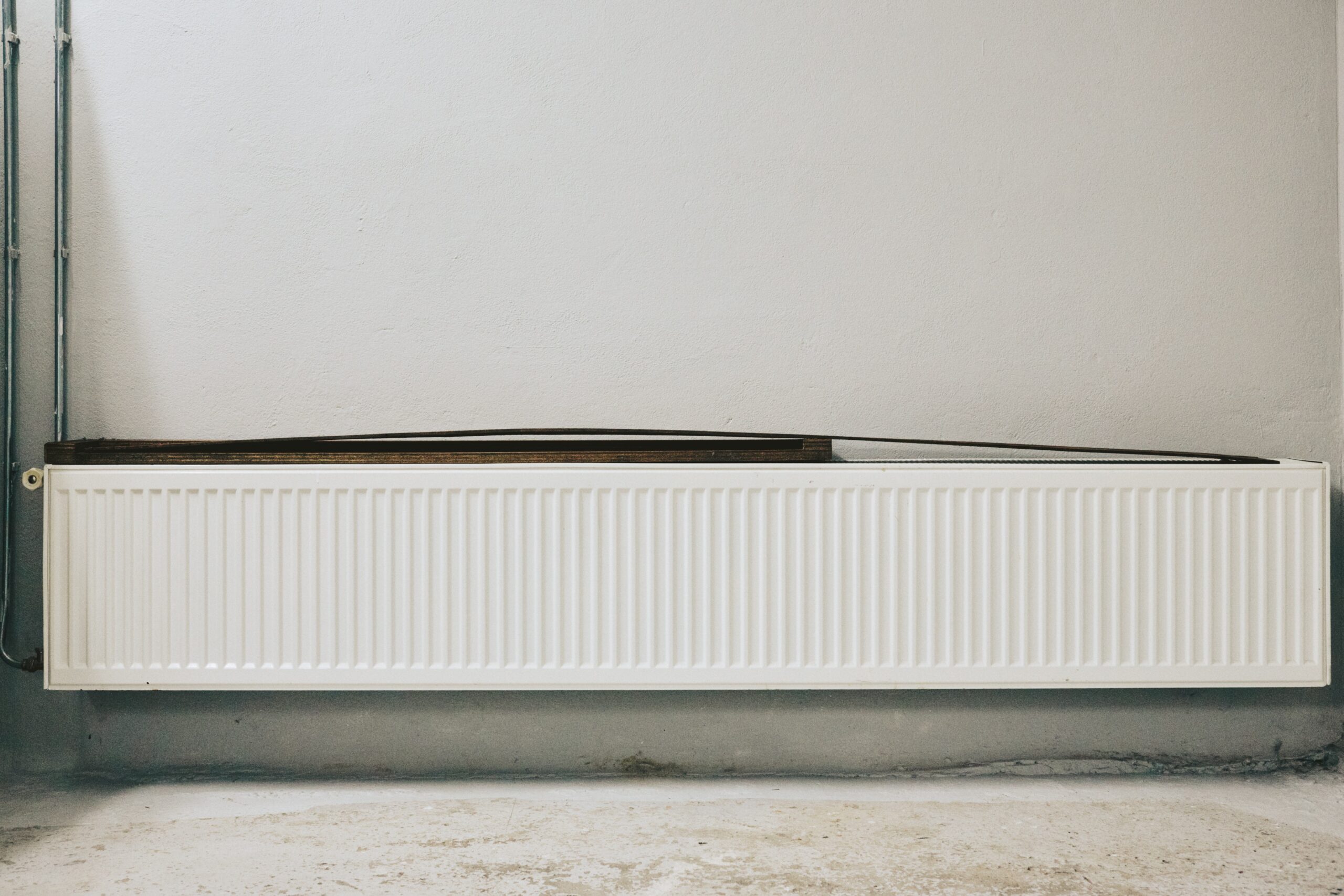 Enacted Displays (2024) Hedvig Koertz with drawings by Jakob Forster