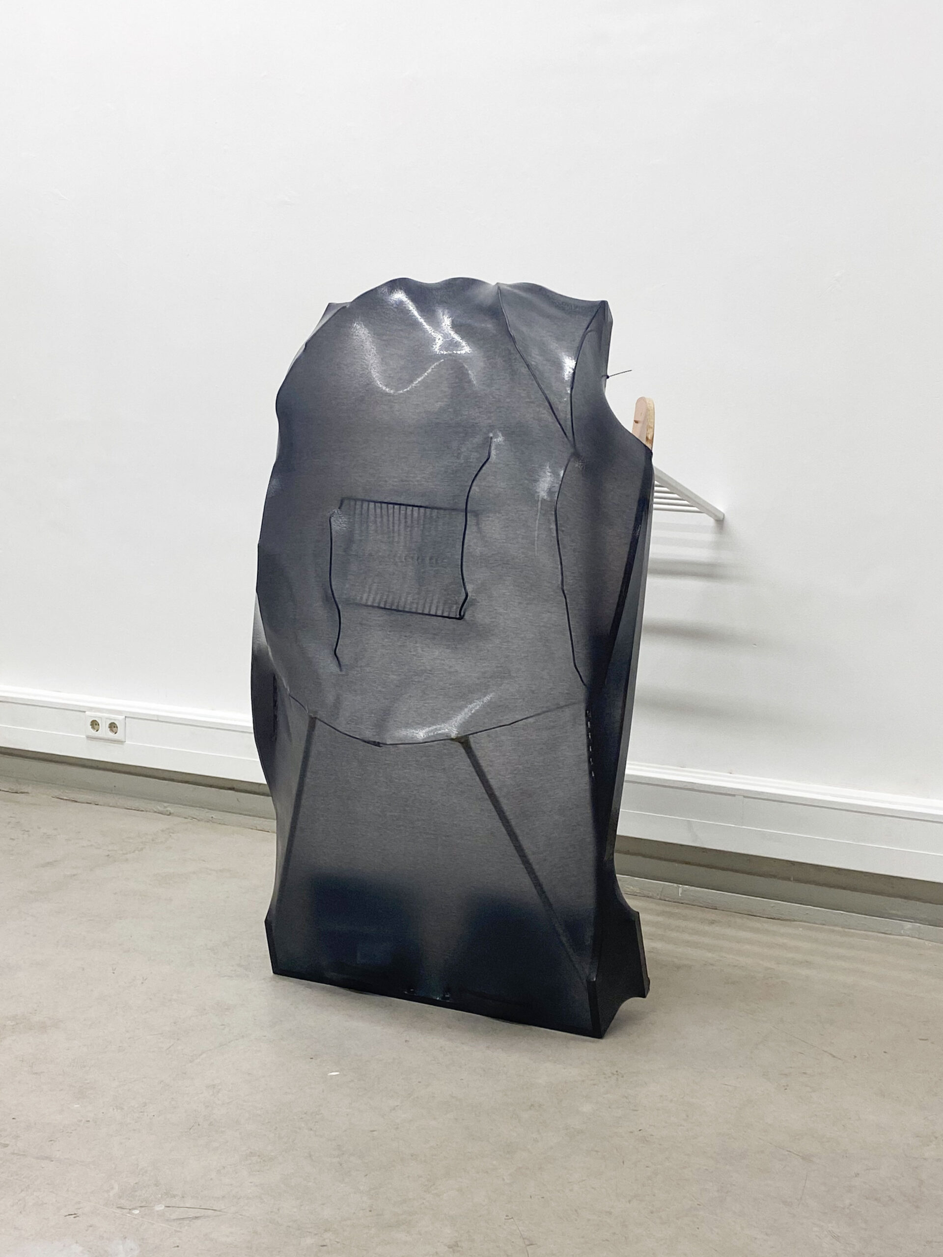 Carapace