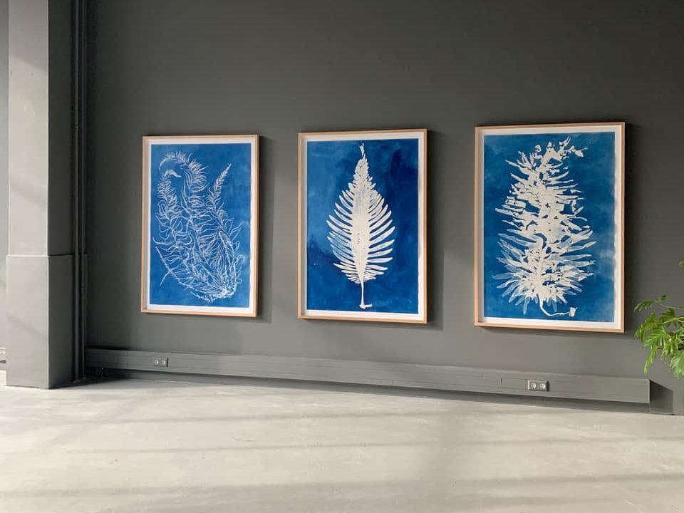 Sargassum muticum en Undaria pinnatifida bij Gallery Untitled, 2022